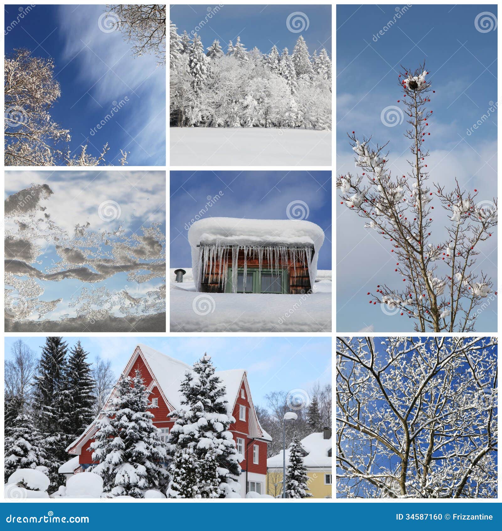 Winter Collage With Snow, Forest - Winter Season - Snowy 