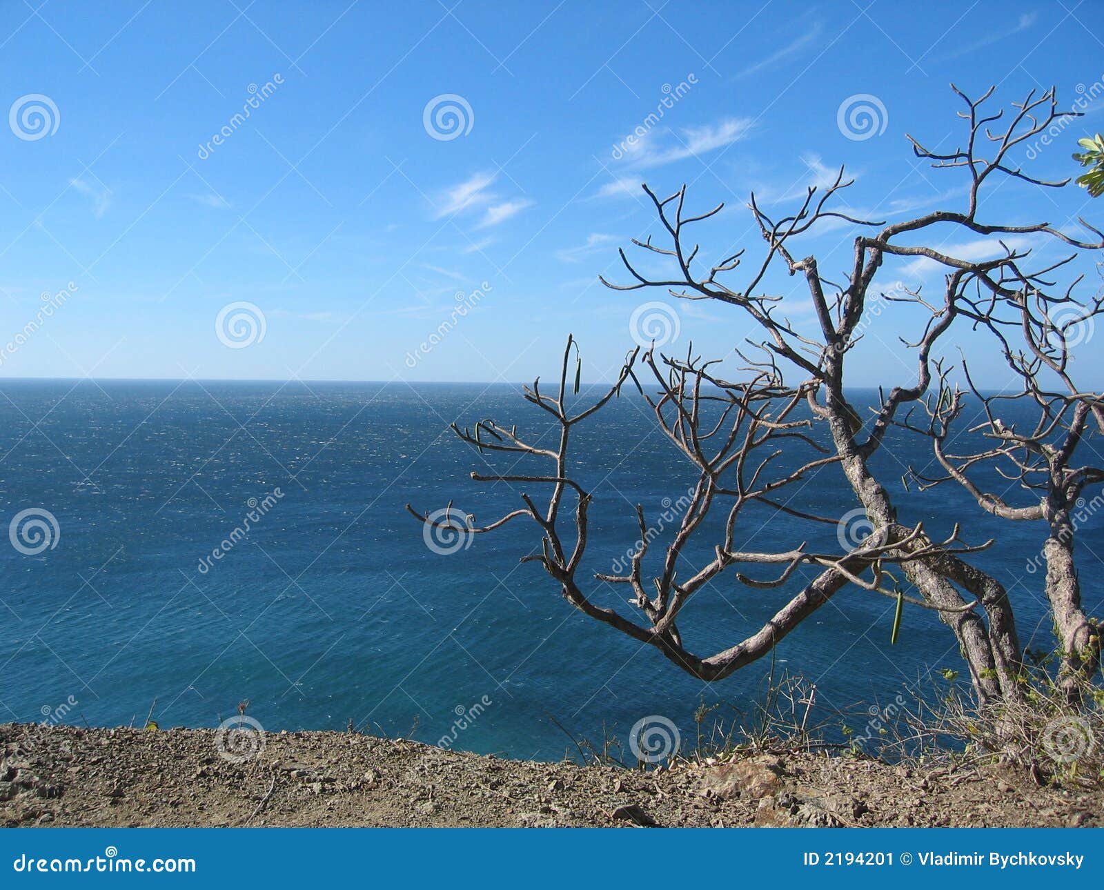Winter in Costa Rica stock image. Image of ocean, cliff 2194201