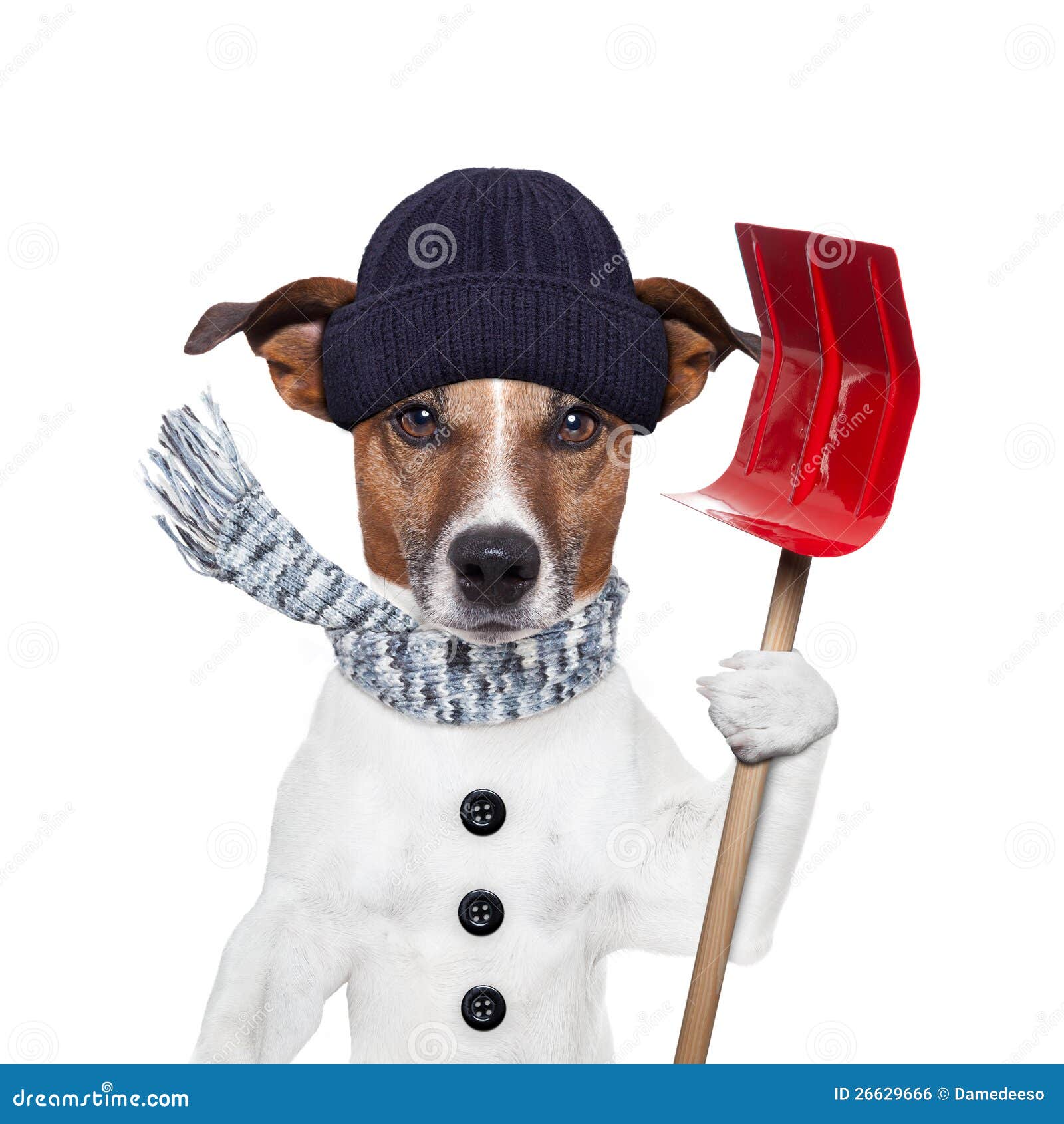 winter dog clipart - photo #35