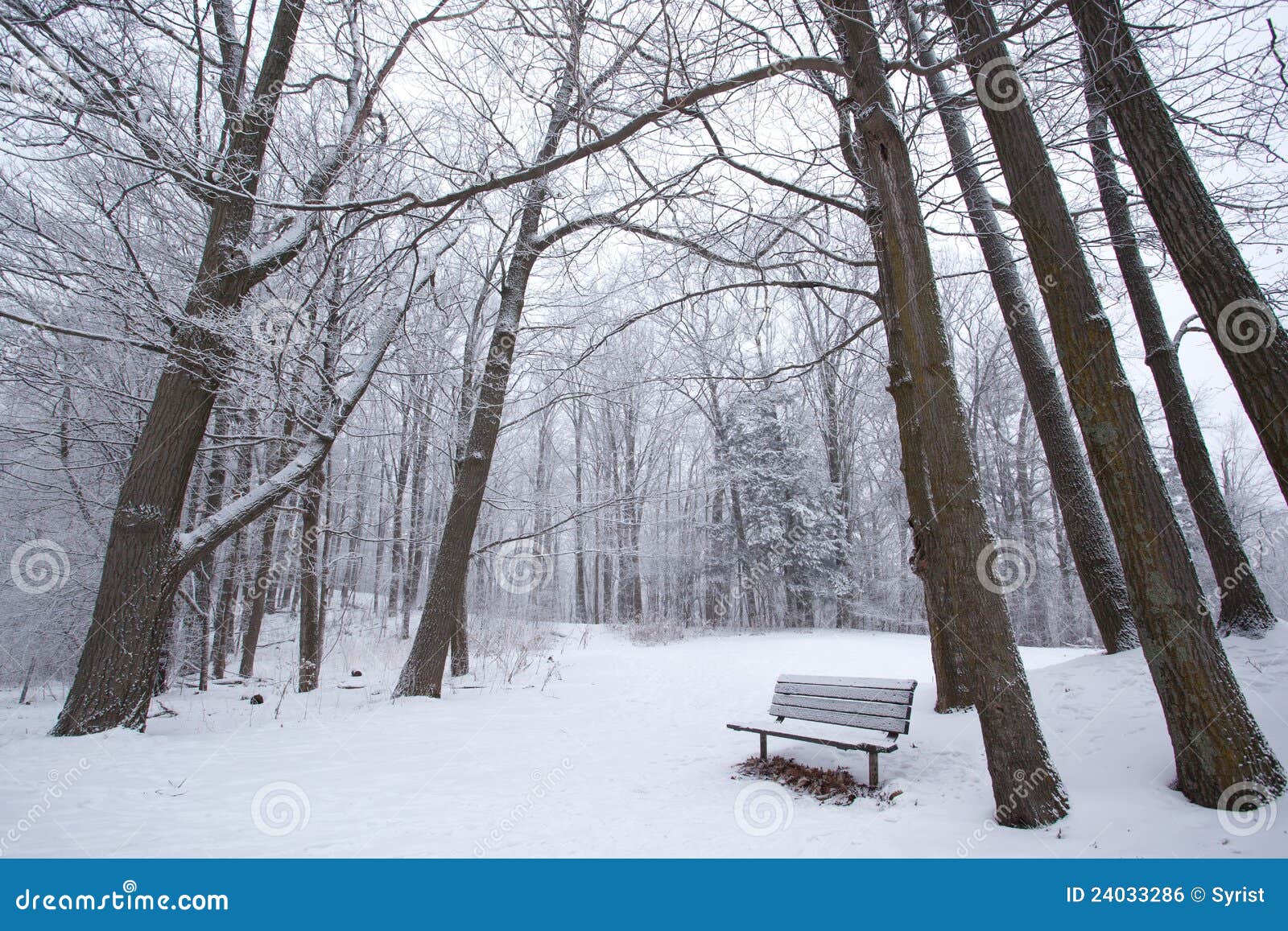 Winter in einem Park. Eine Parkbank foregrounds dieser Winter szenisch.