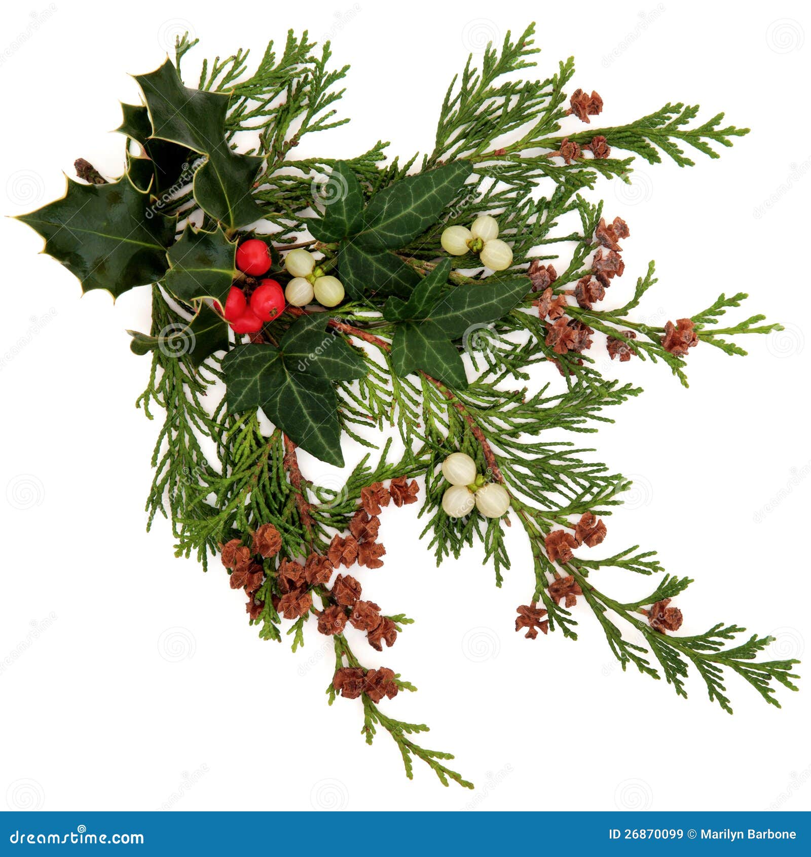 christmas ivy clipart - photo #46