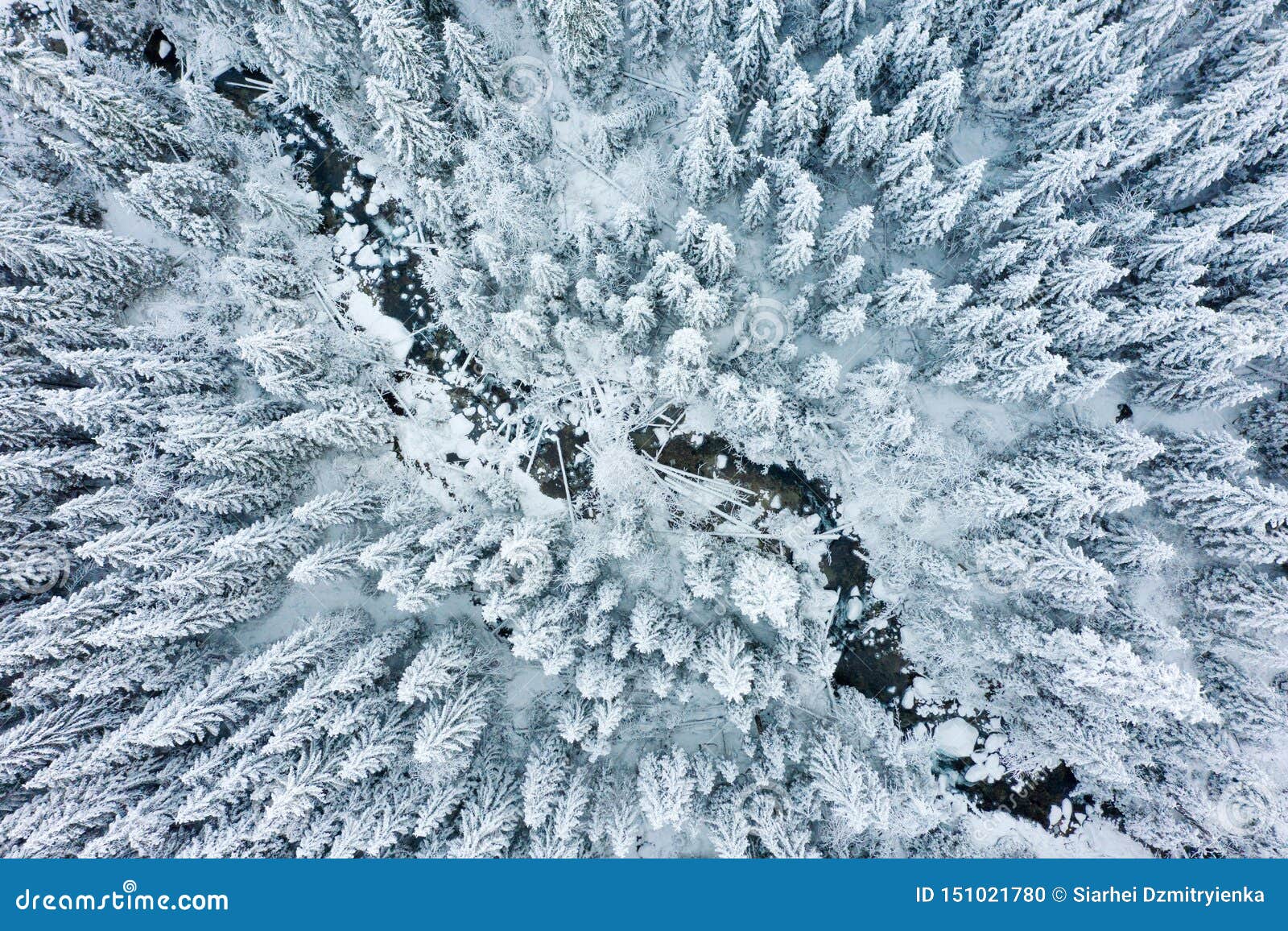 Winter Forest Aerial View Snowy And Frosty Forest From Above Winter Background Stock Photo Image Of Background Outdoor Winter Forest Aerial View Snowy And Frosty Forest From Above Winter Background Stock Photo Image Of Background Outdoor