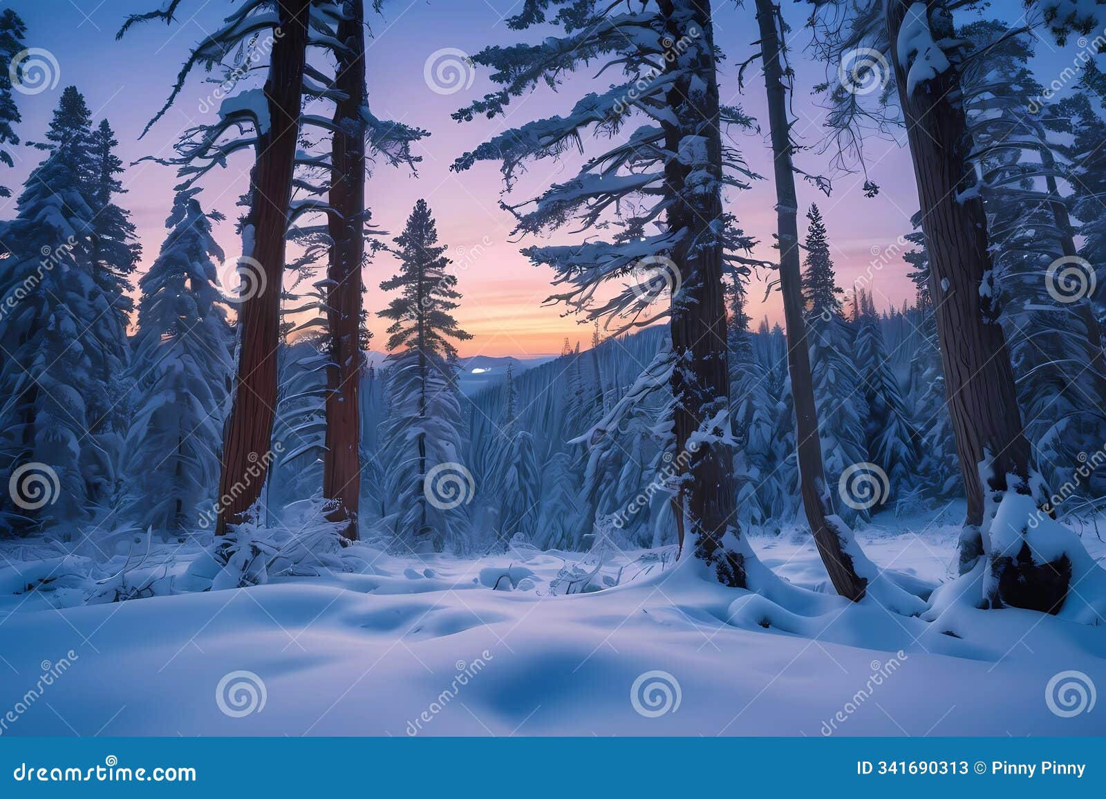 a winter forest with tall trees, snow covered, in a morning day, warm lights onf sunrise, scenic view, backgrounds