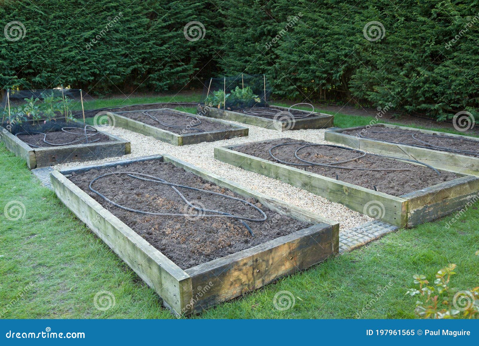 Winter Garden Maintenance Empty Vegetable Patch Uk Stock Image Image Of Horticulture Fertilizer  - What To Do With Raised Garden Beds In Winter