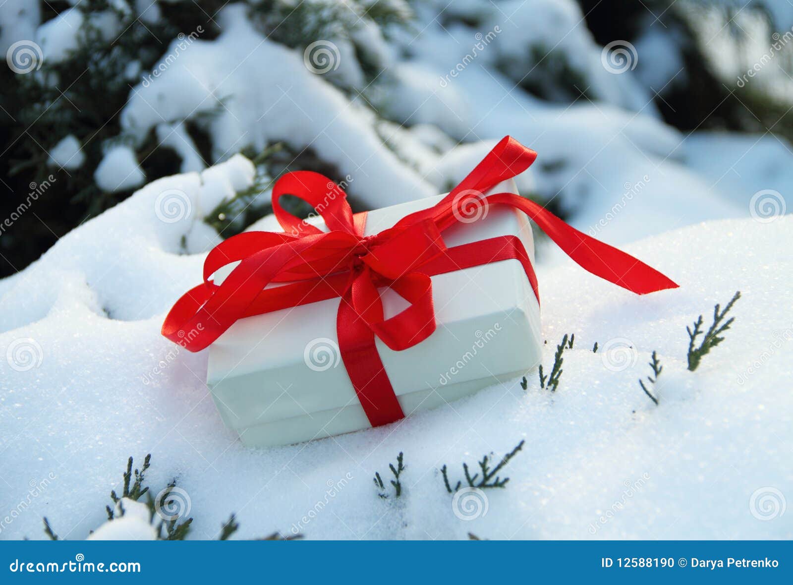 Winter gift stock photo. Image of snow, packaging, green 12588190