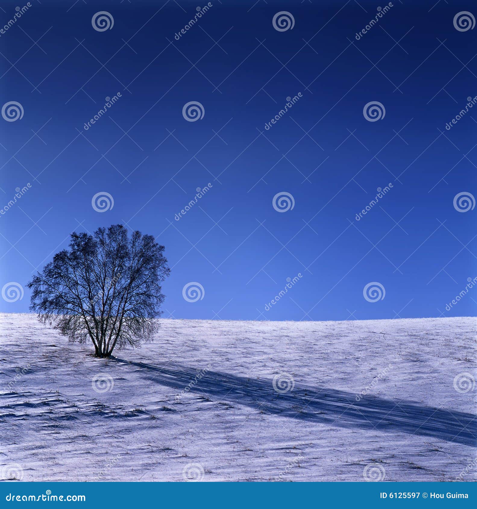 winter grassland scenery