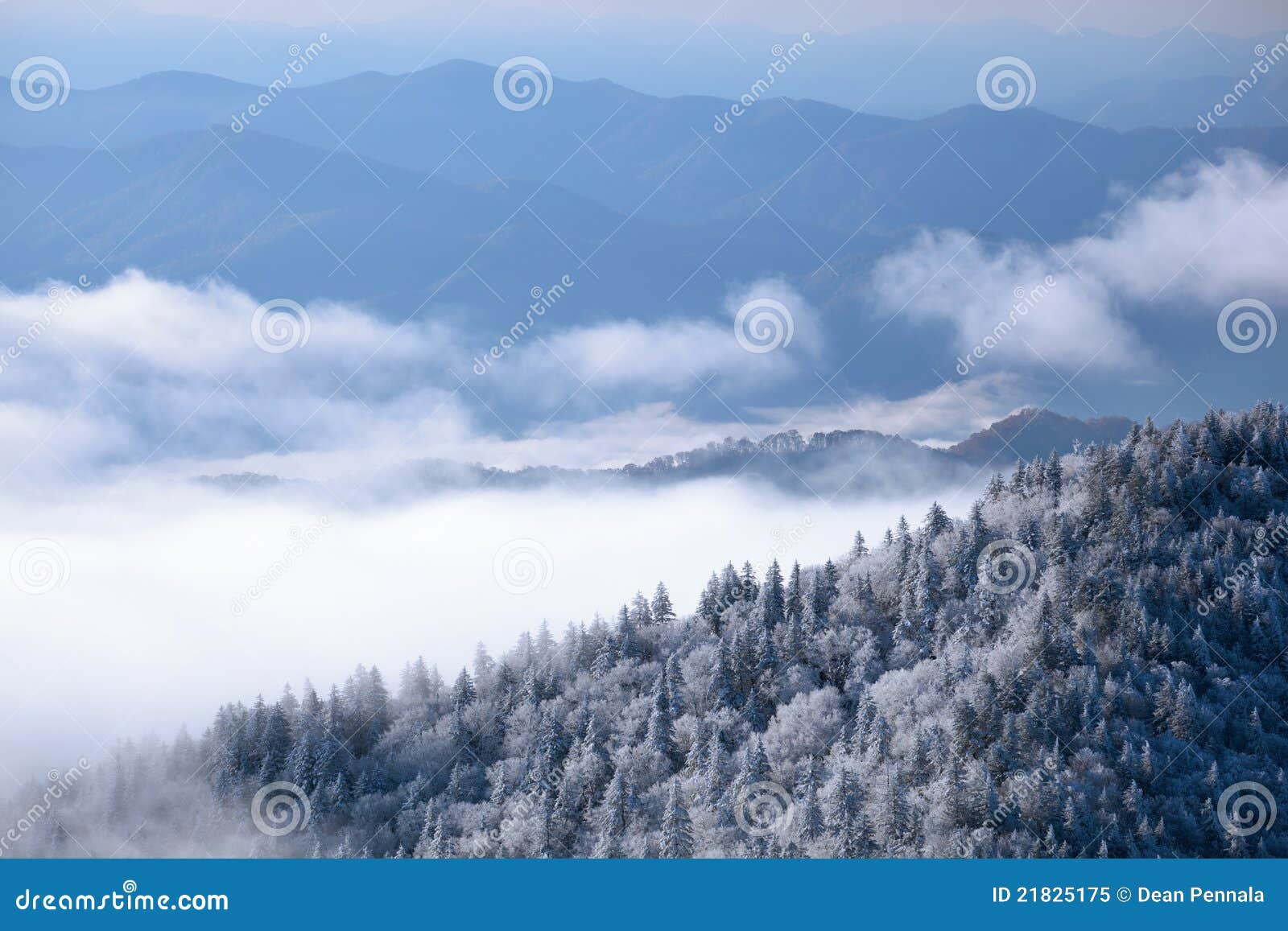 winter, great smoky mountains