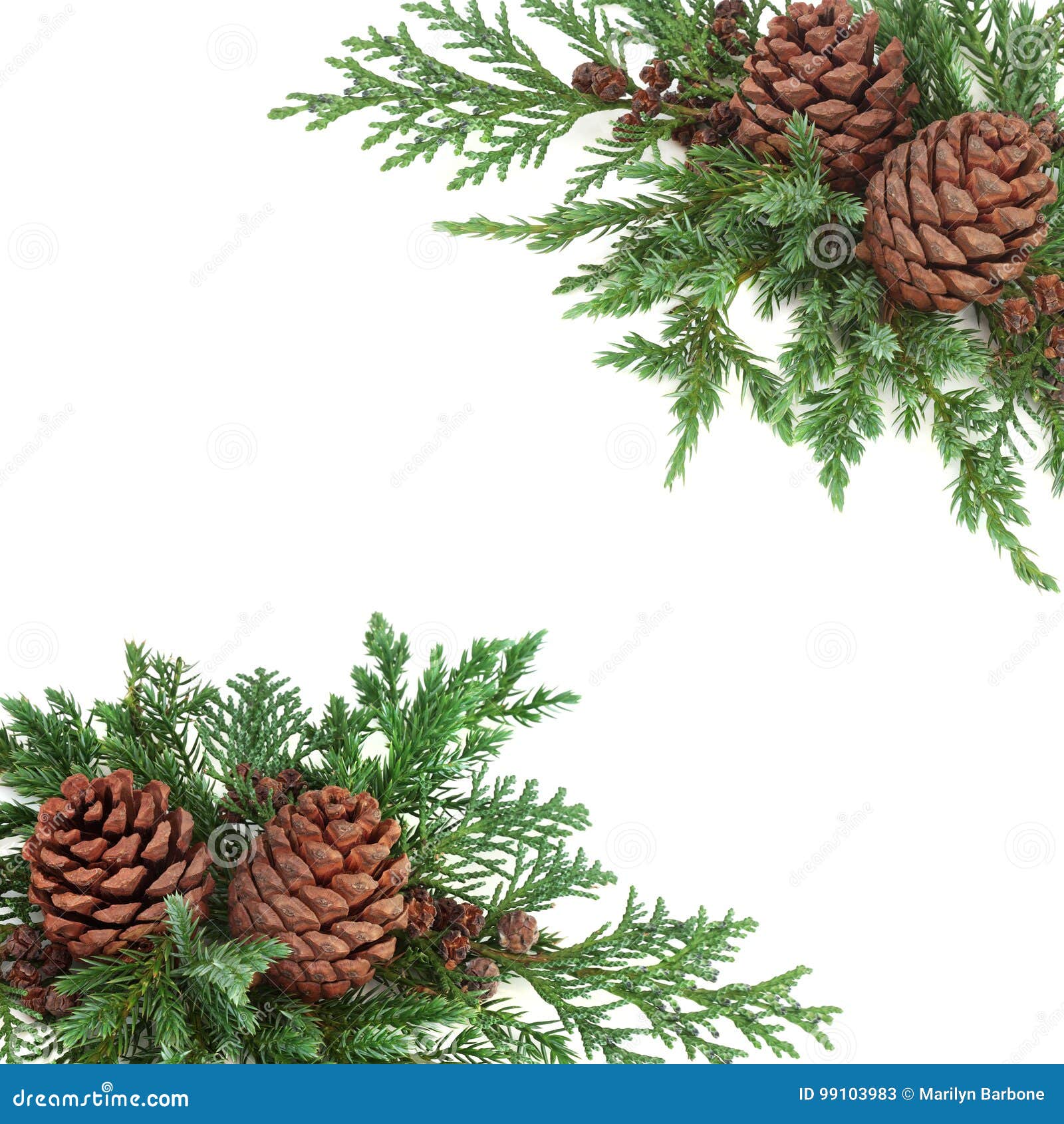 Winter Greenery Border stock image. Image of background - 99103983