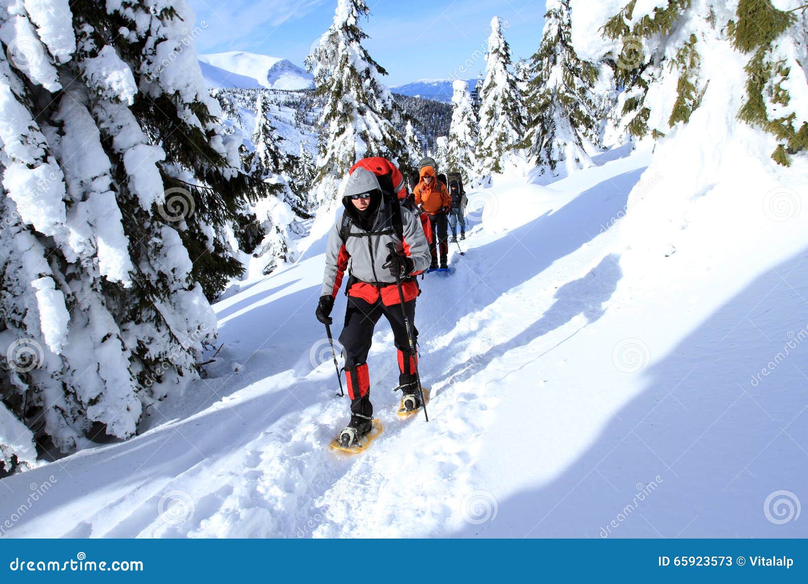 Winter Hiking in the Mountains on Snowshoes Stock Image Image of season, risk 65923573