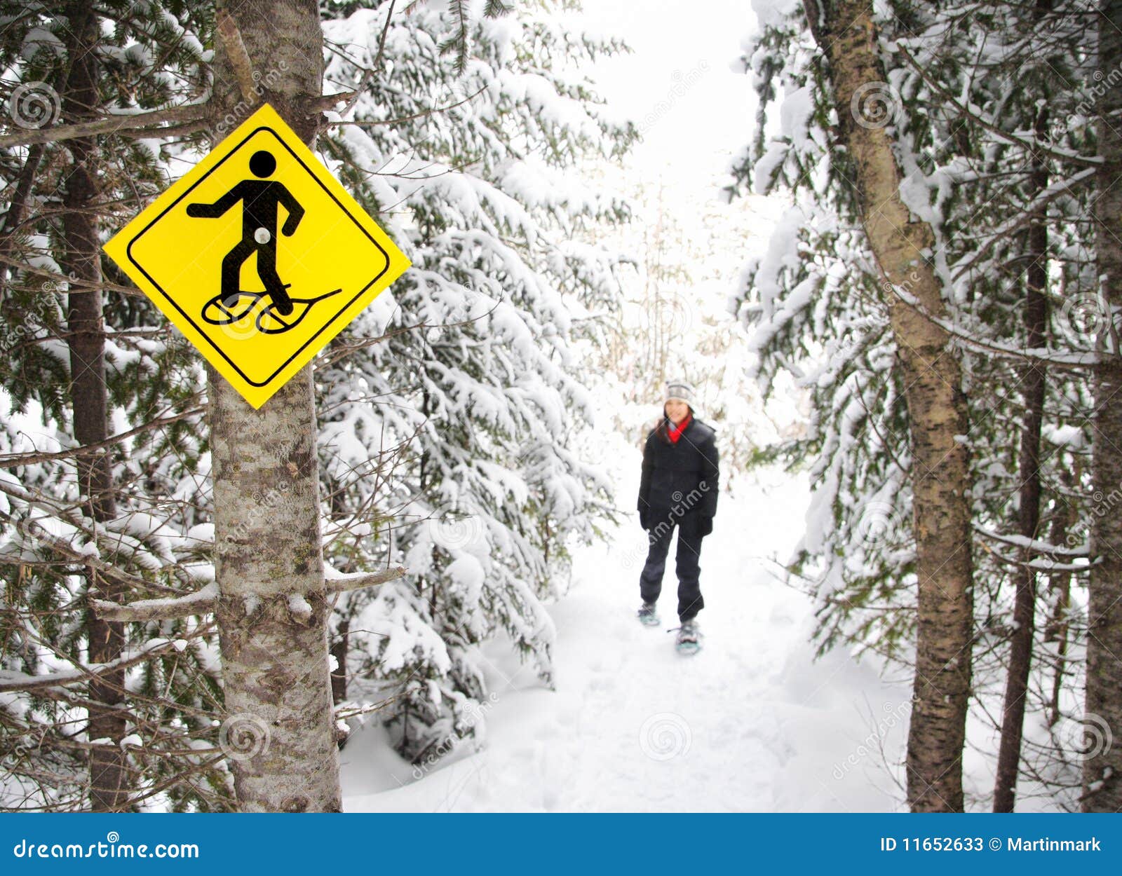 Winter Hiking with Snowshoes Stock Image Image of snowshoe, cold