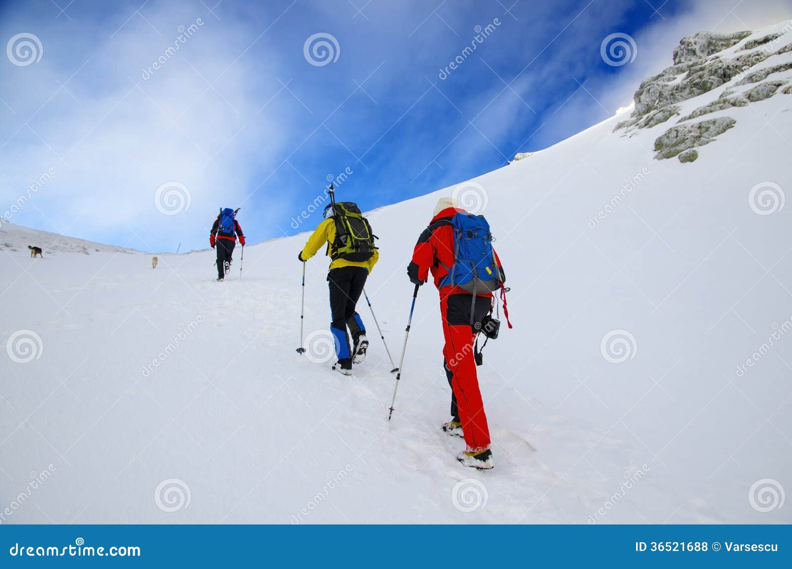 Winter hiking stock photo. Image of cold, adversity, climbing 36521688