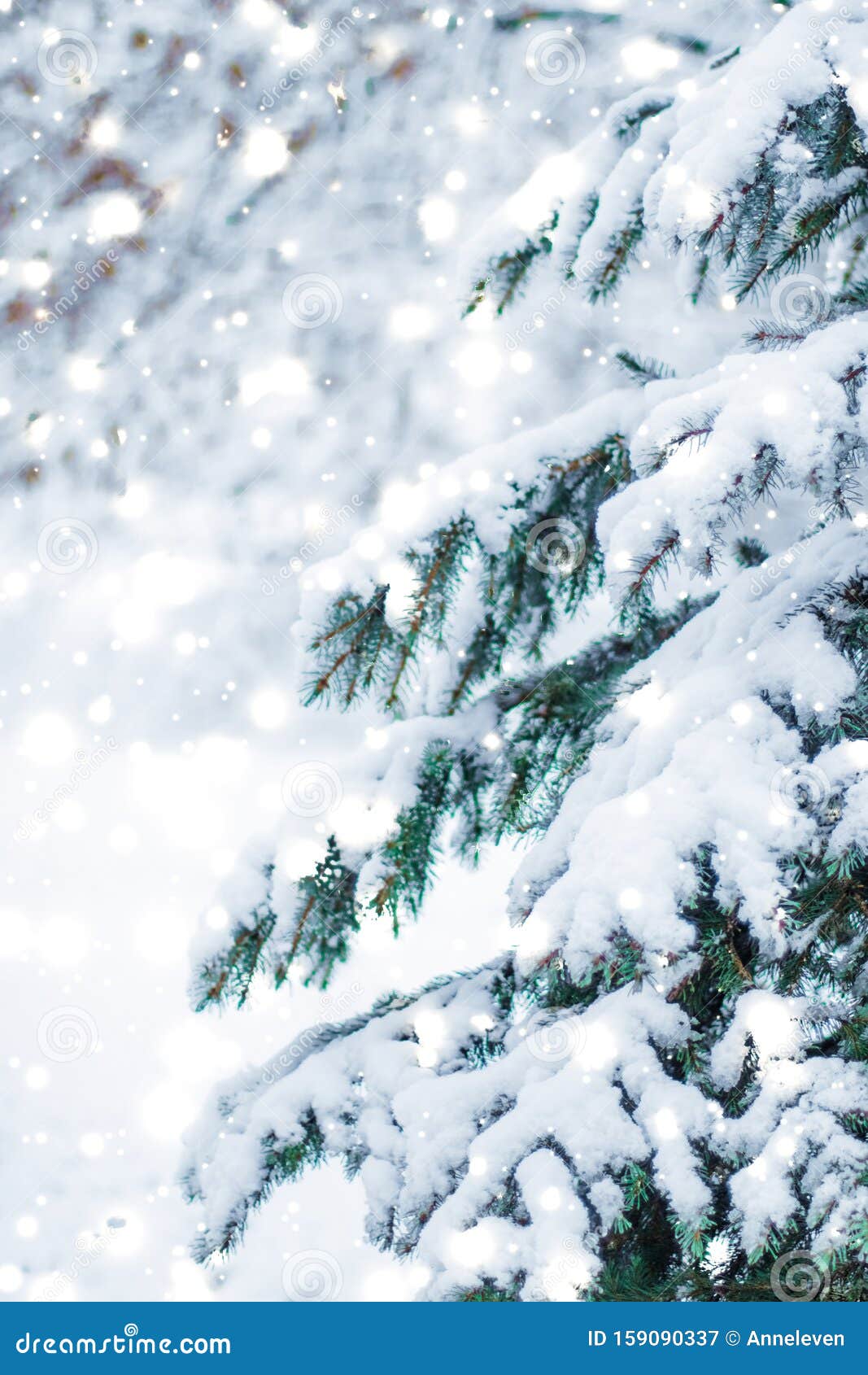 Winter Holiday Background, Nature Scenery with Shiny Snow and Cold Weather  in Forest at Christmas Time Stock Image - Image of greeting, nature:  159090337