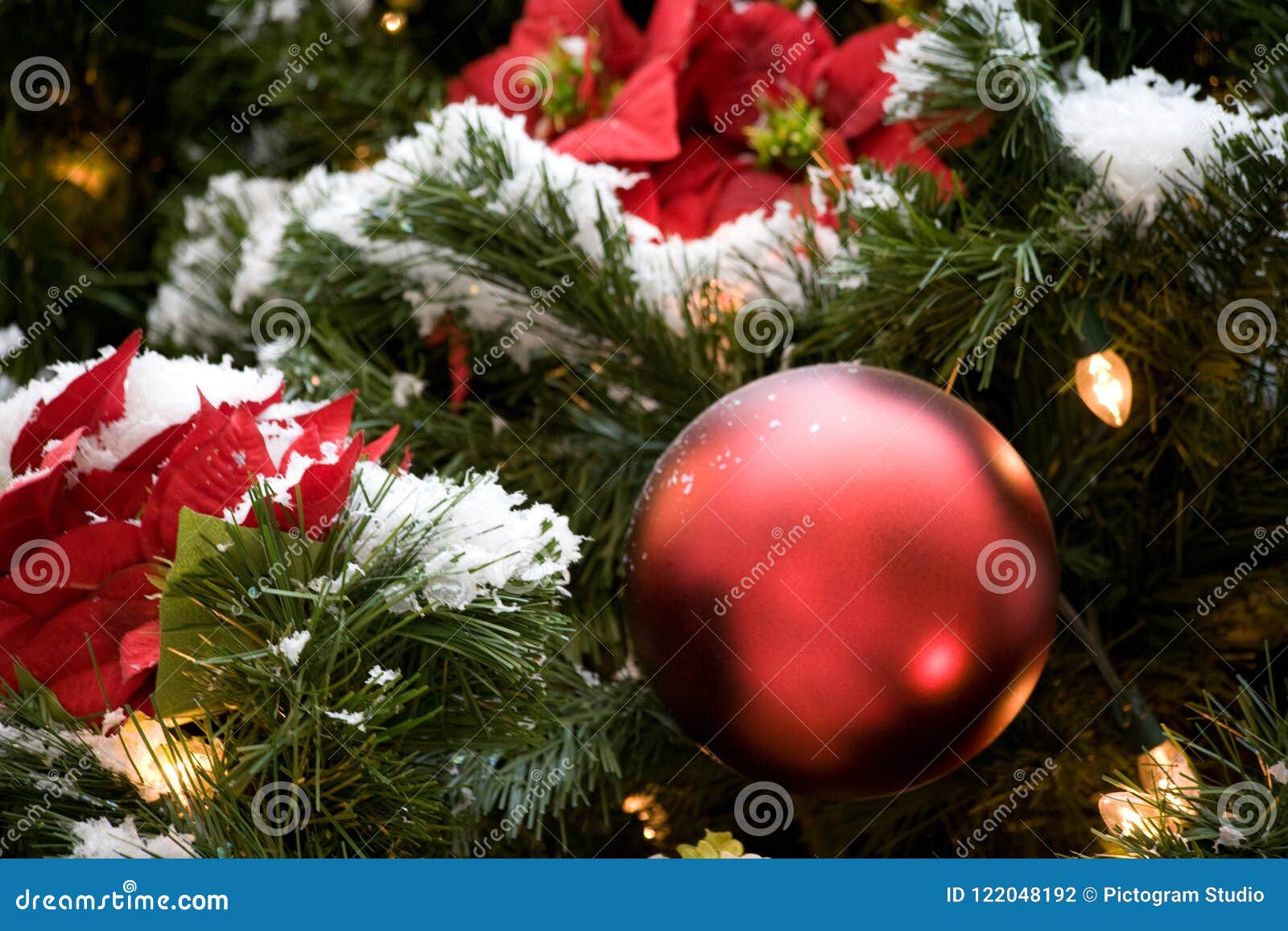 Winter Holiday Christmas Tree with Red Ornaments, Lights, Pointsettas ...