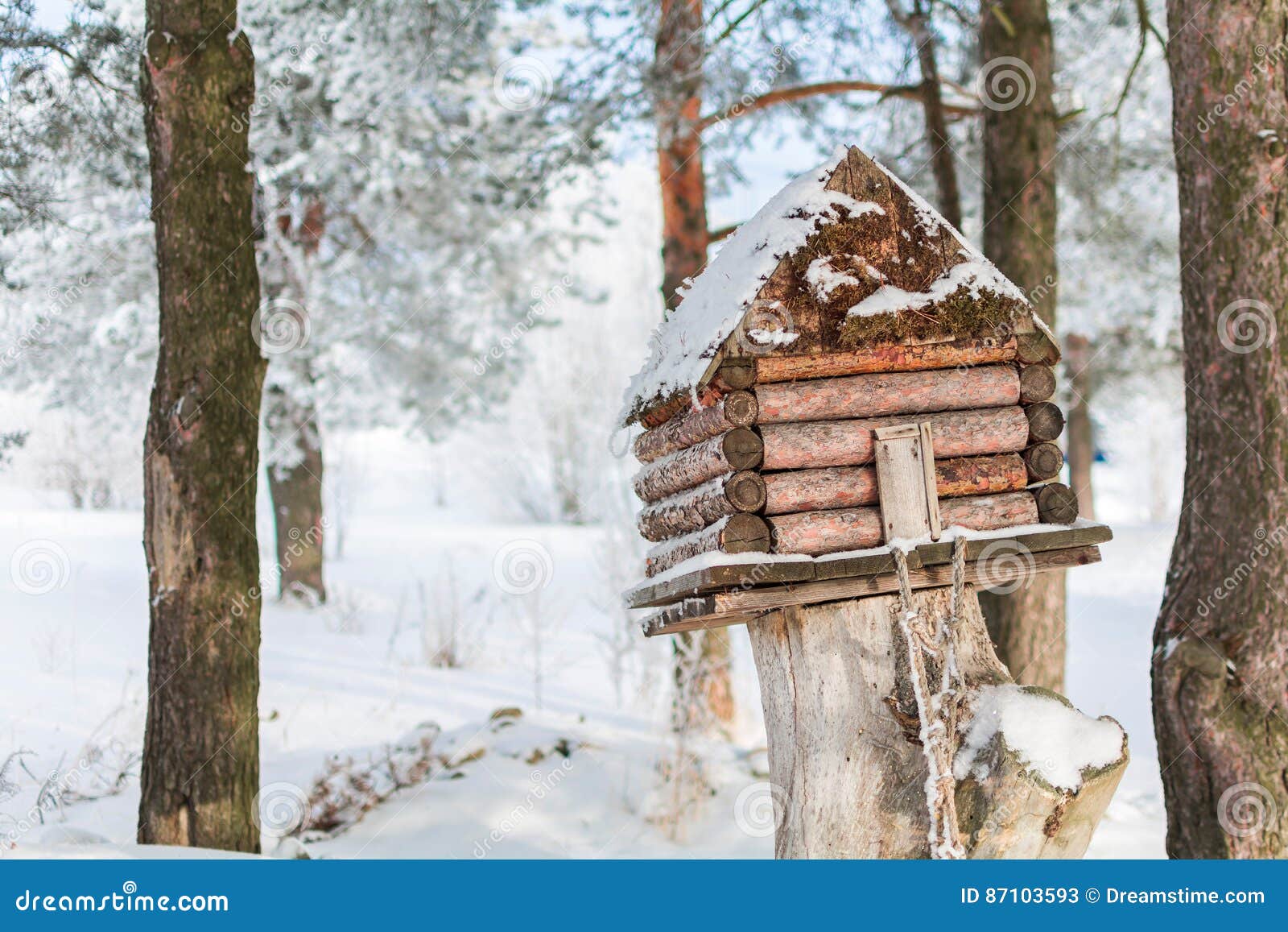 Winter House for Birds on the Tree Stock Image Image of forest, house
