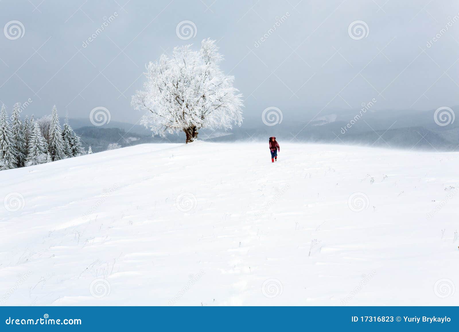 winter inclement snowy landscape