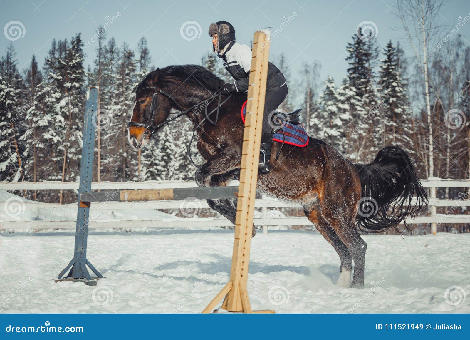 winter jump horse ride jumping
