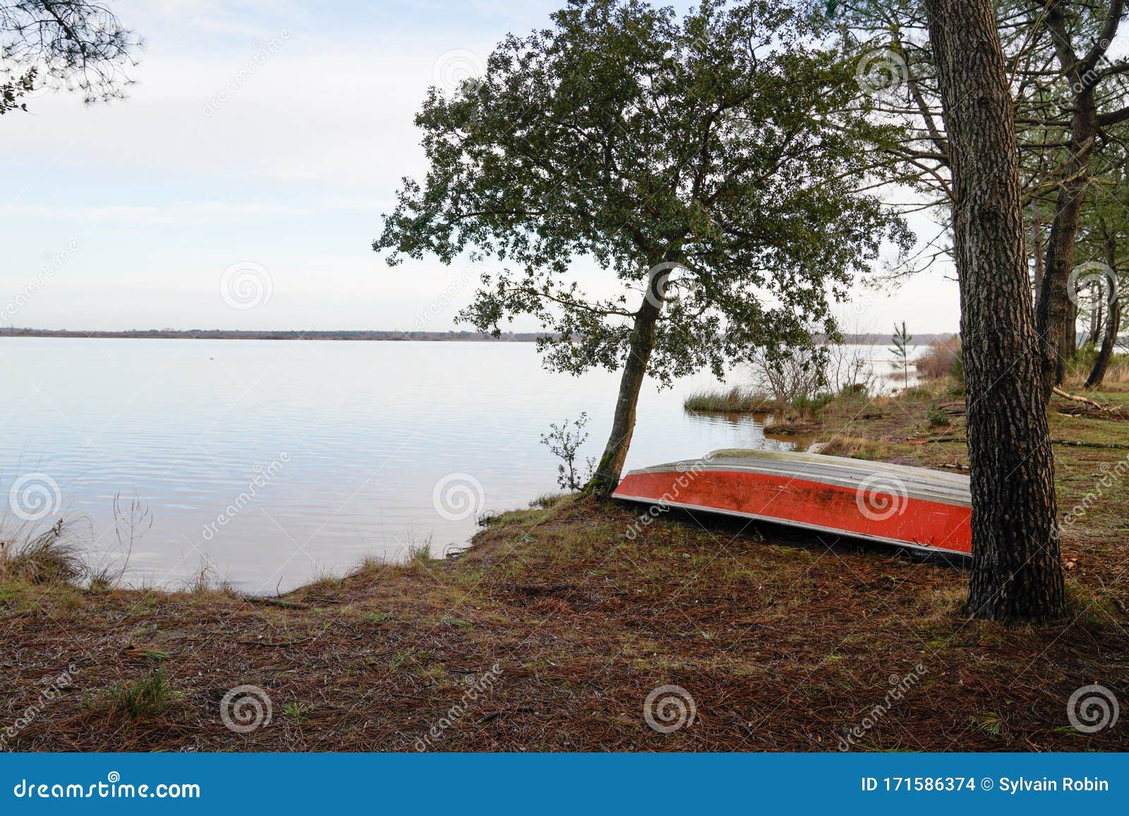winter lake small boat in sand beach in biscarrosse landes 40 france