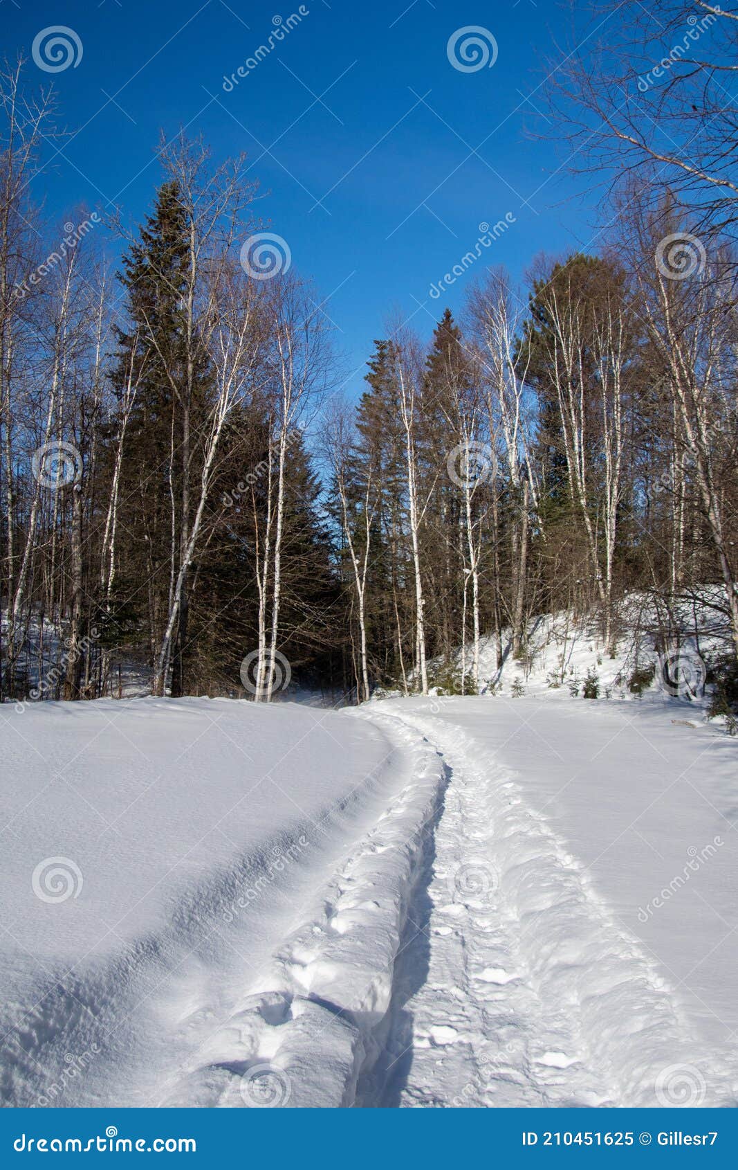 snowshoe trail, winter landsacape on the countryside