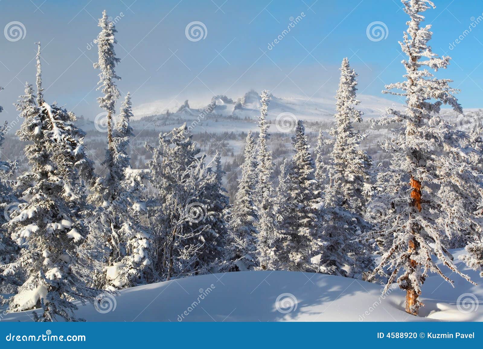 winter landscape of altai mountains