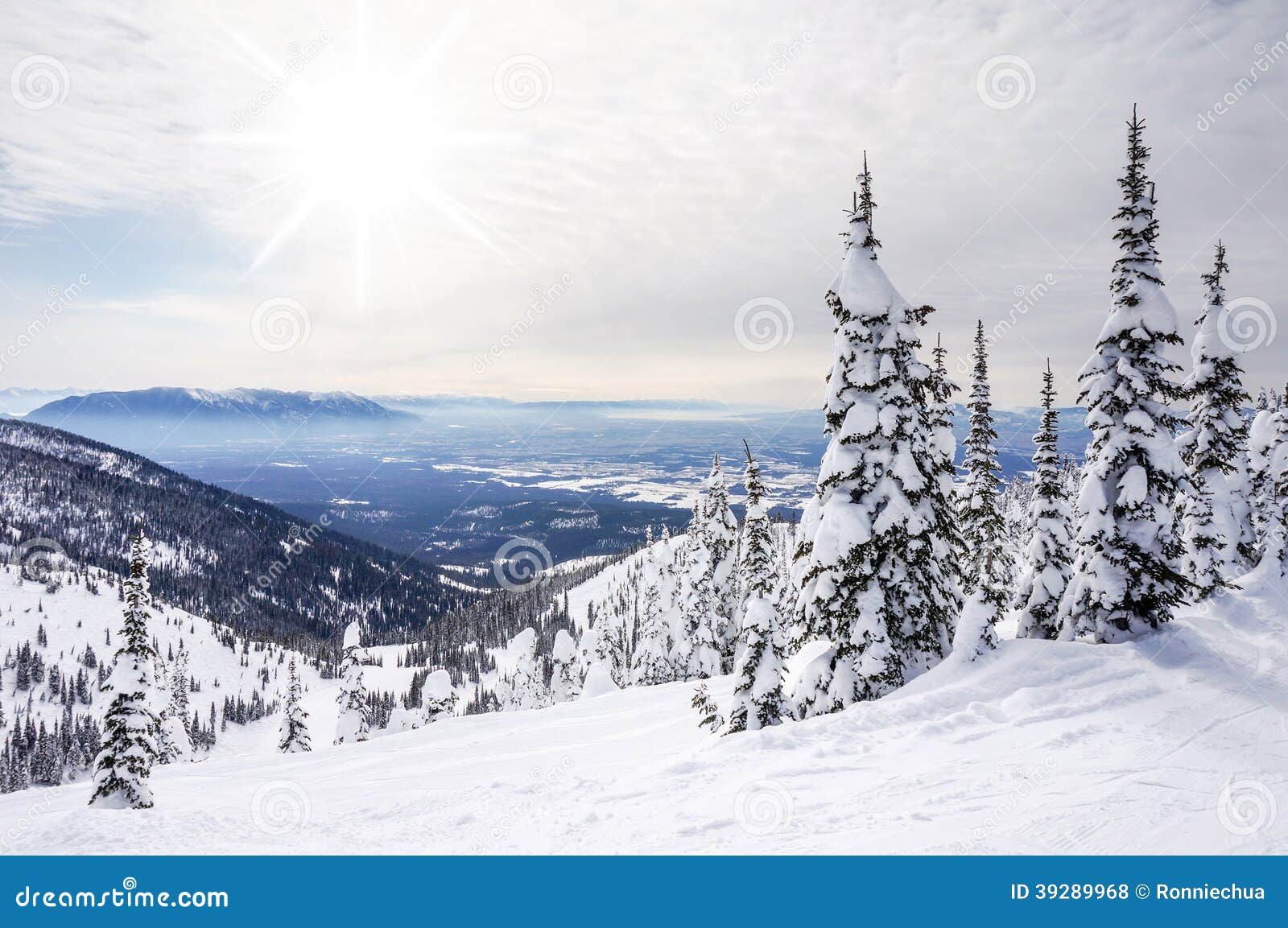 winter landscape on big mountain in montana