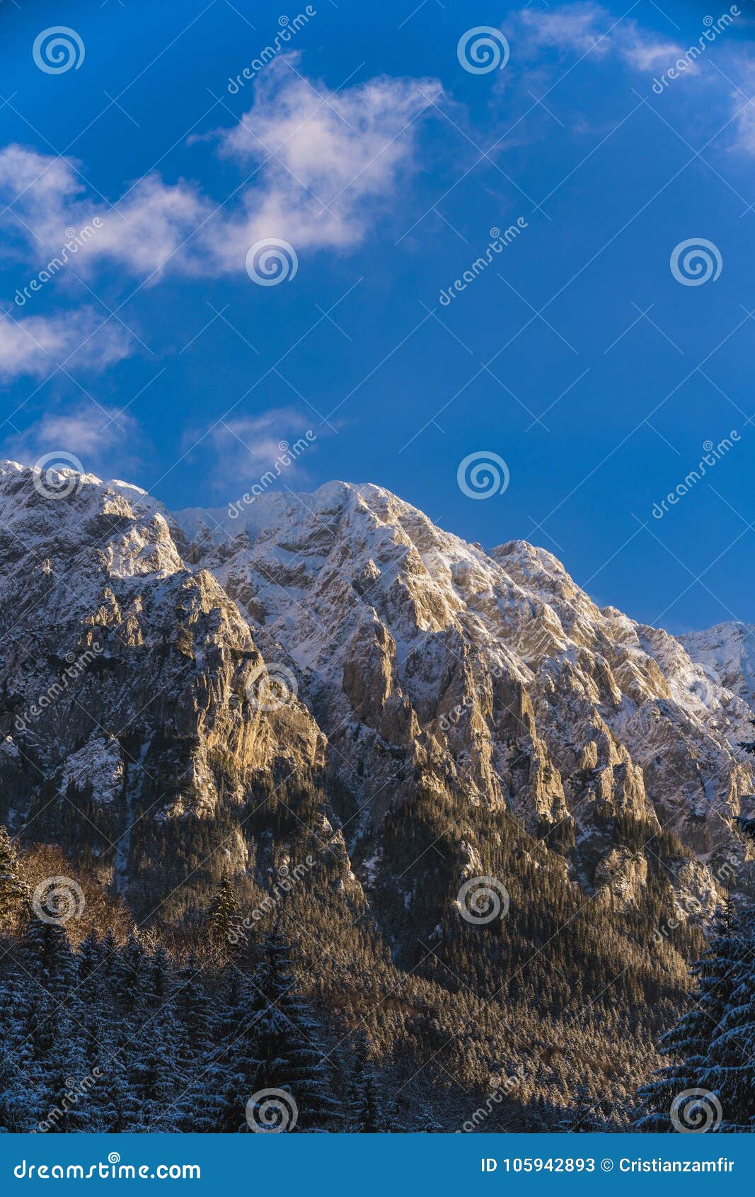 winter landscape with carpati piatra craiului mountain