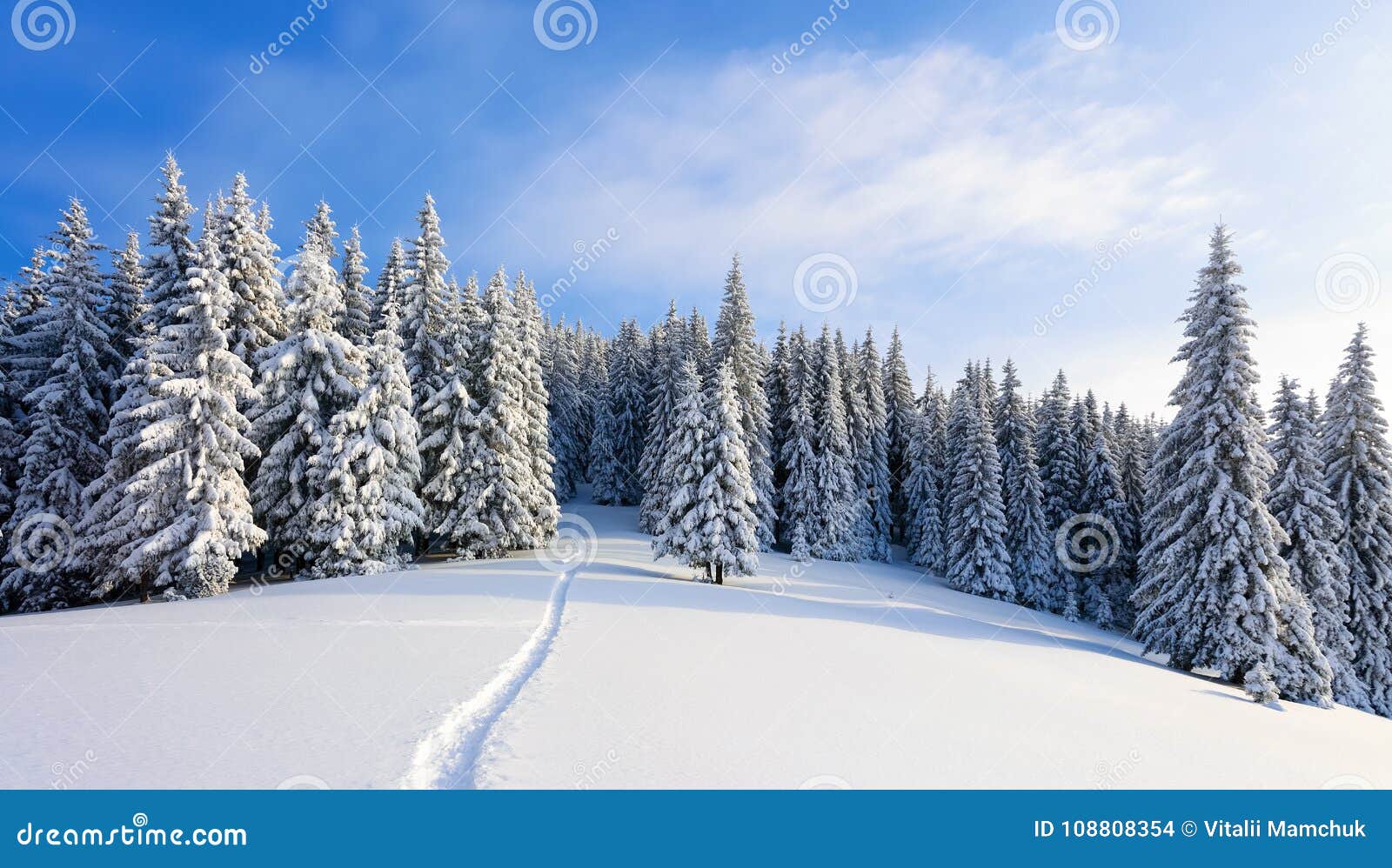 winter landscape with fair trees under the snow. scenery for the tourists. christmas holidays.