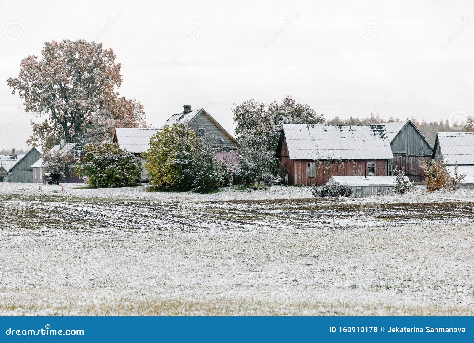 Winter Landscape With First Snow In The Countryside Fields With