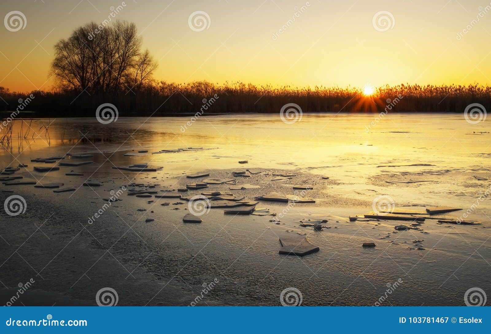 Winter Landscape with Frozen River, Reeds and Sunset Sky. Stock Image ...