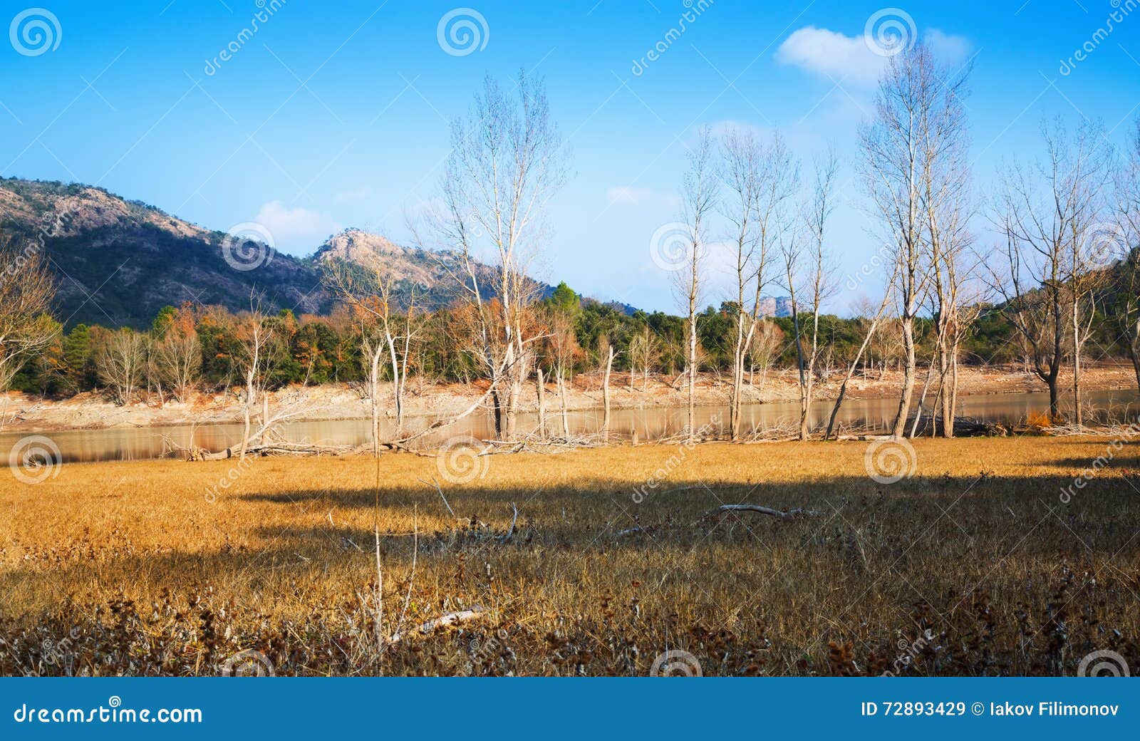 winter landscape with lake. muga
