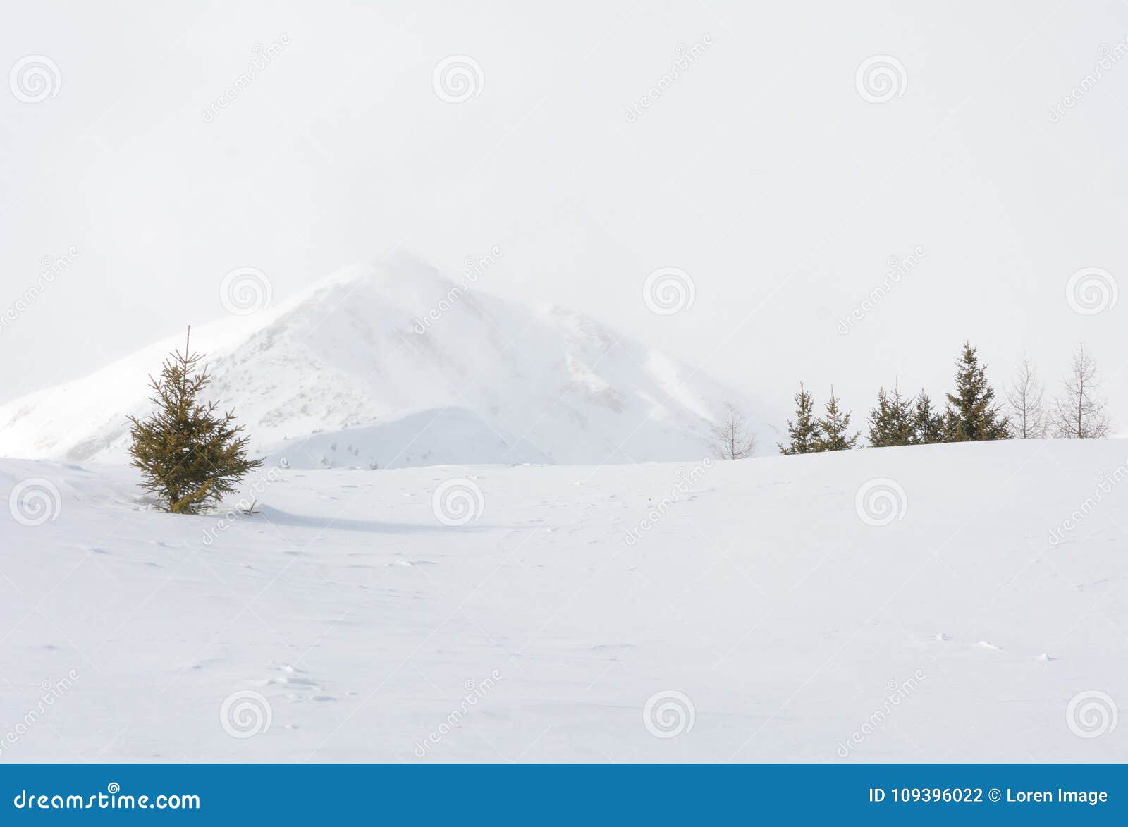 Winter Landscape in a Mountain Valley with Snow. Stock Photo - Image of ...