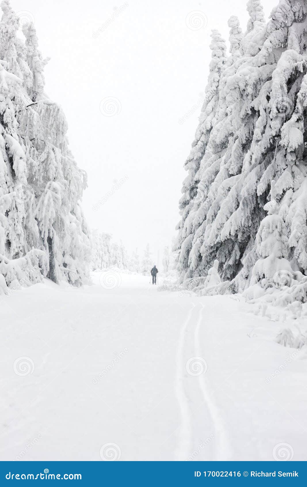 winter landscape, orlicke moutnains, czech republic