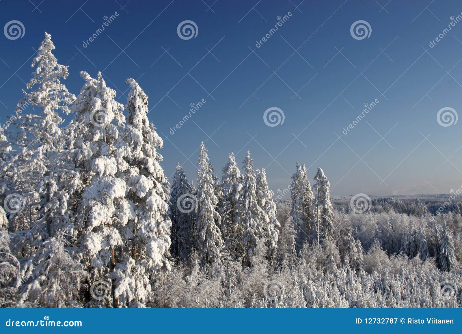 Winter landscape over forest with bright blue sky