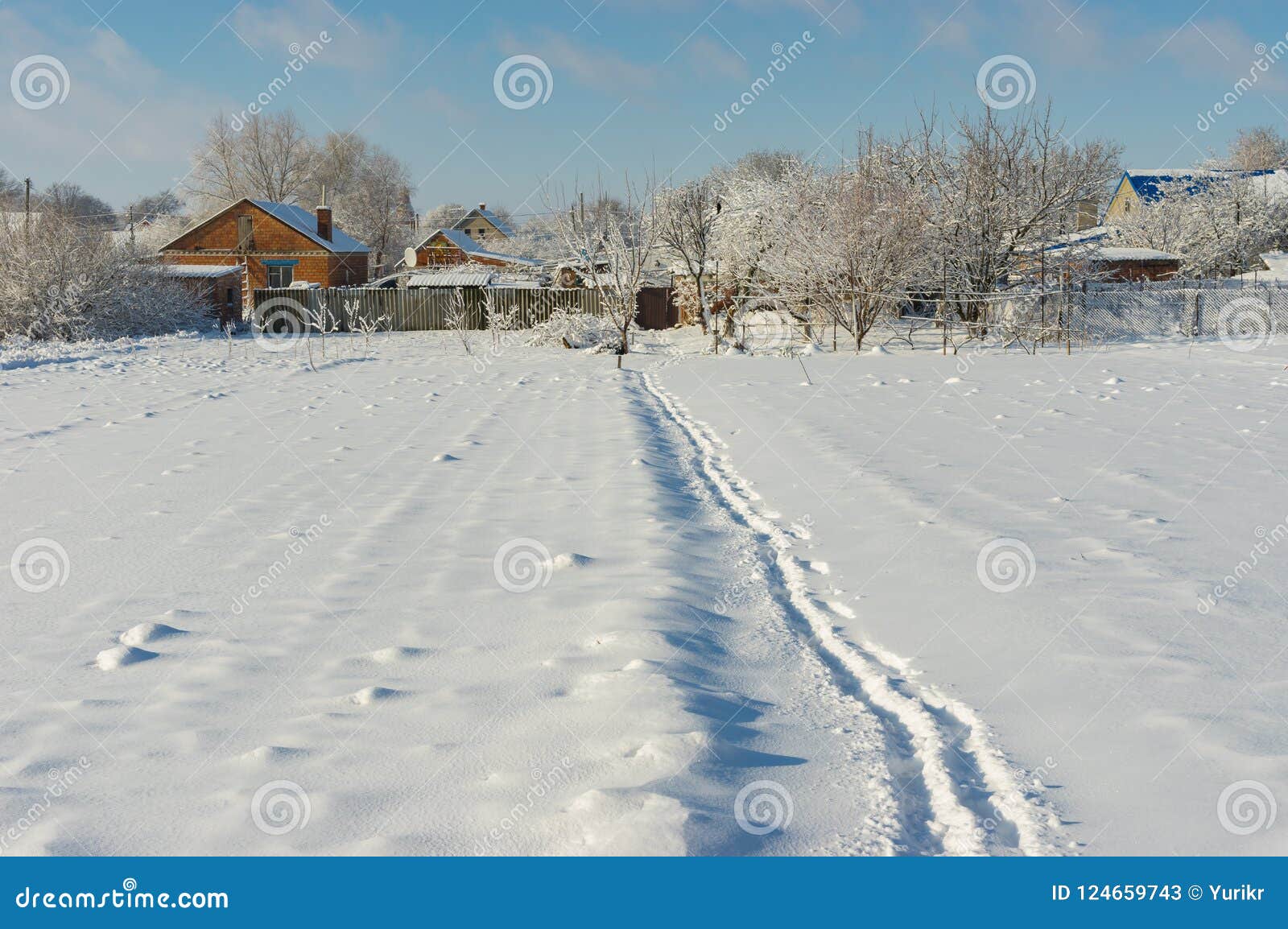 Winter Landscape With Pedestrian Path Through Snow Covered Field In Ukrainian Village Stock Image Image Of Orchard Beautiful