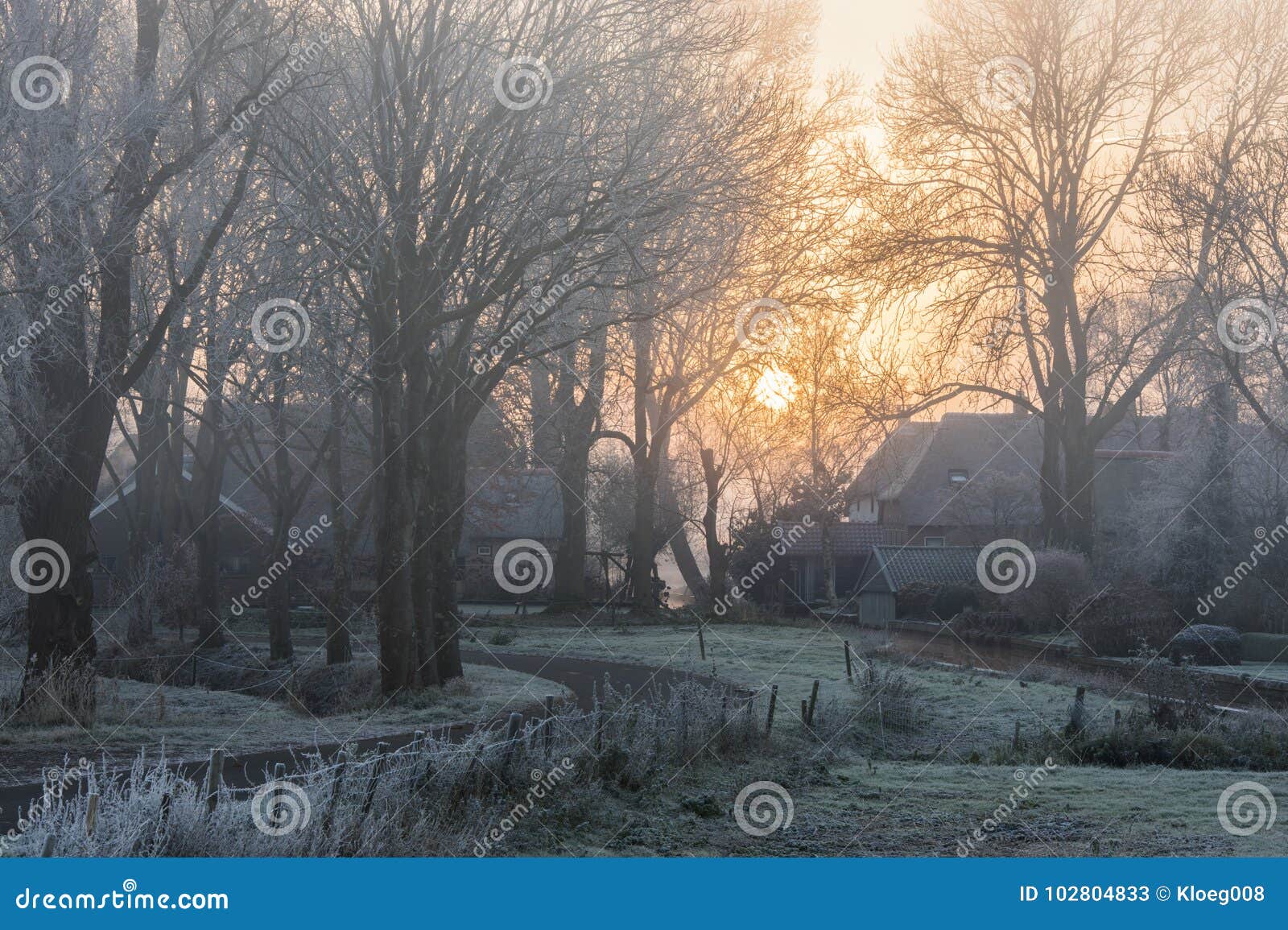 winter morning in nederland