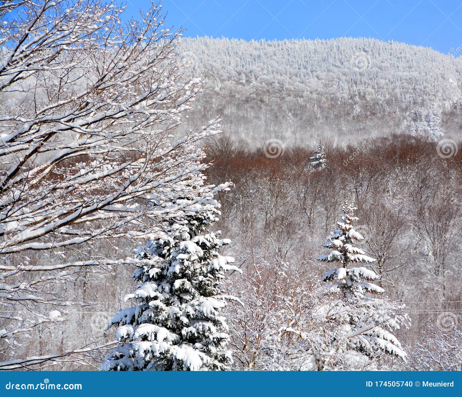 winter landscape in sutton mountain