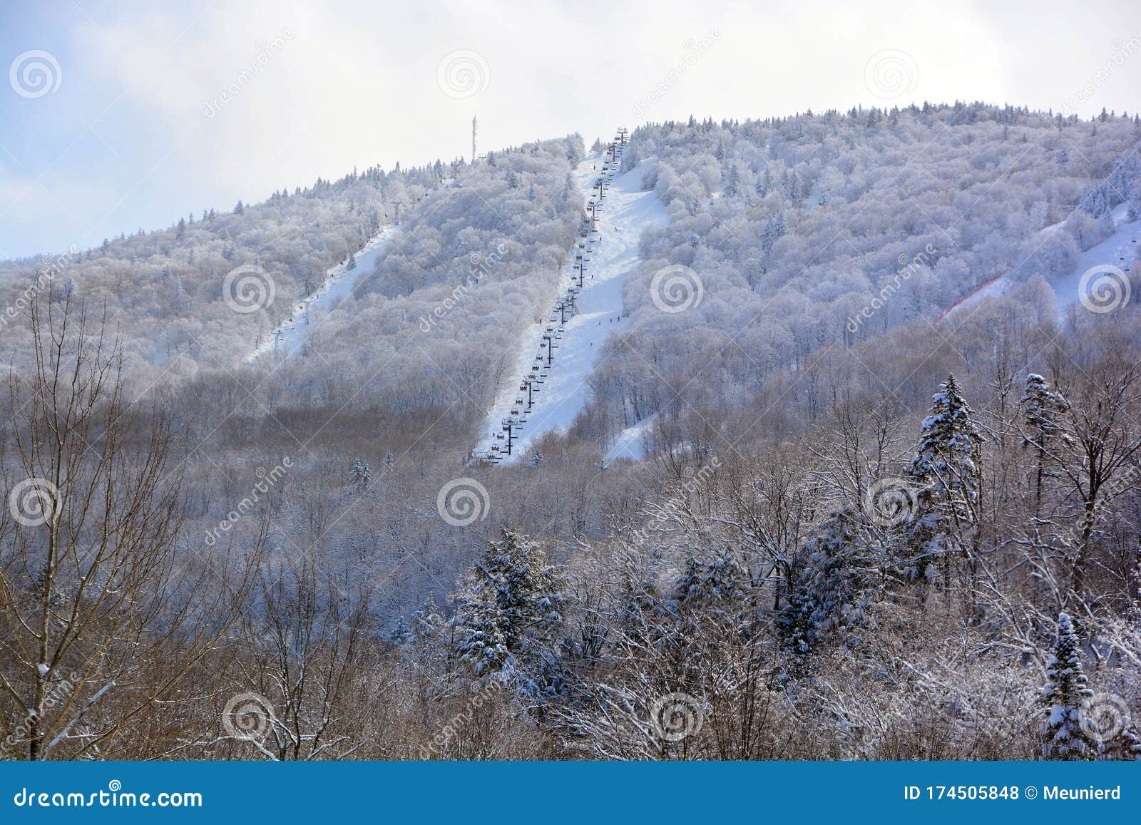 winter landscape in sutton mountain