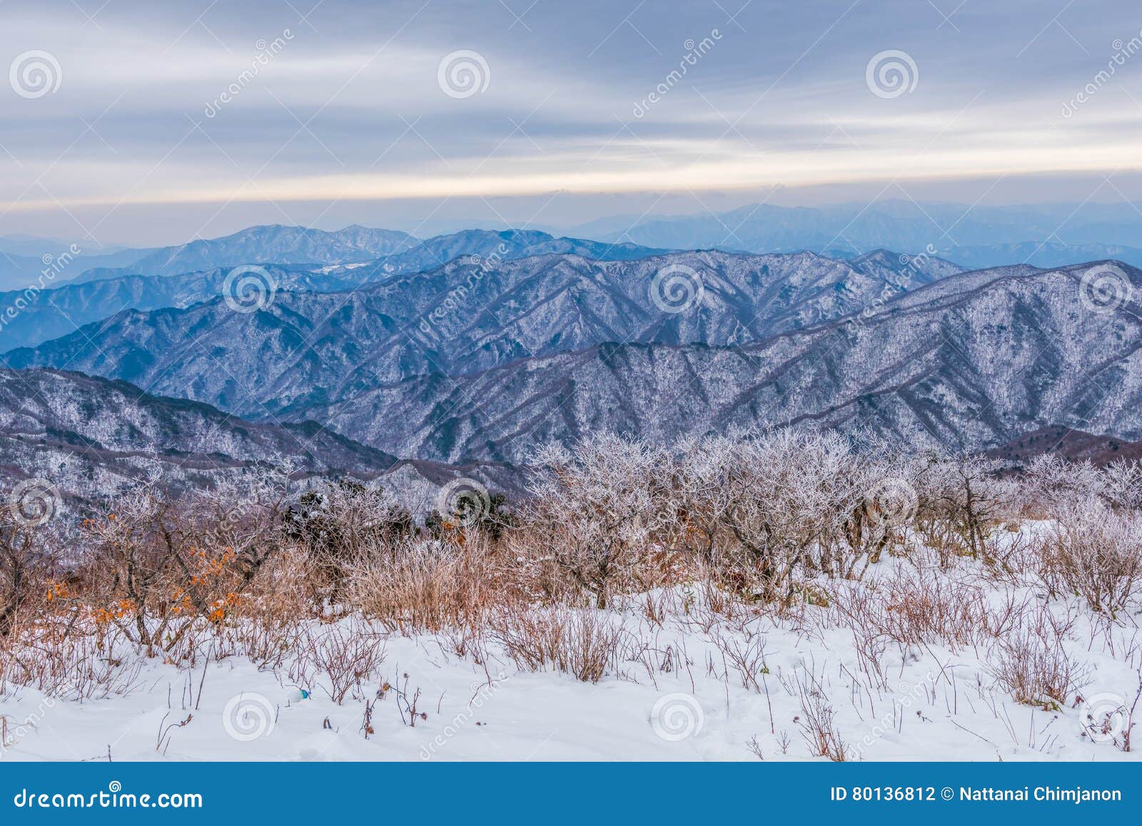 Winter Landscape White Snow of Mountain in Korea. Stock Photo Image