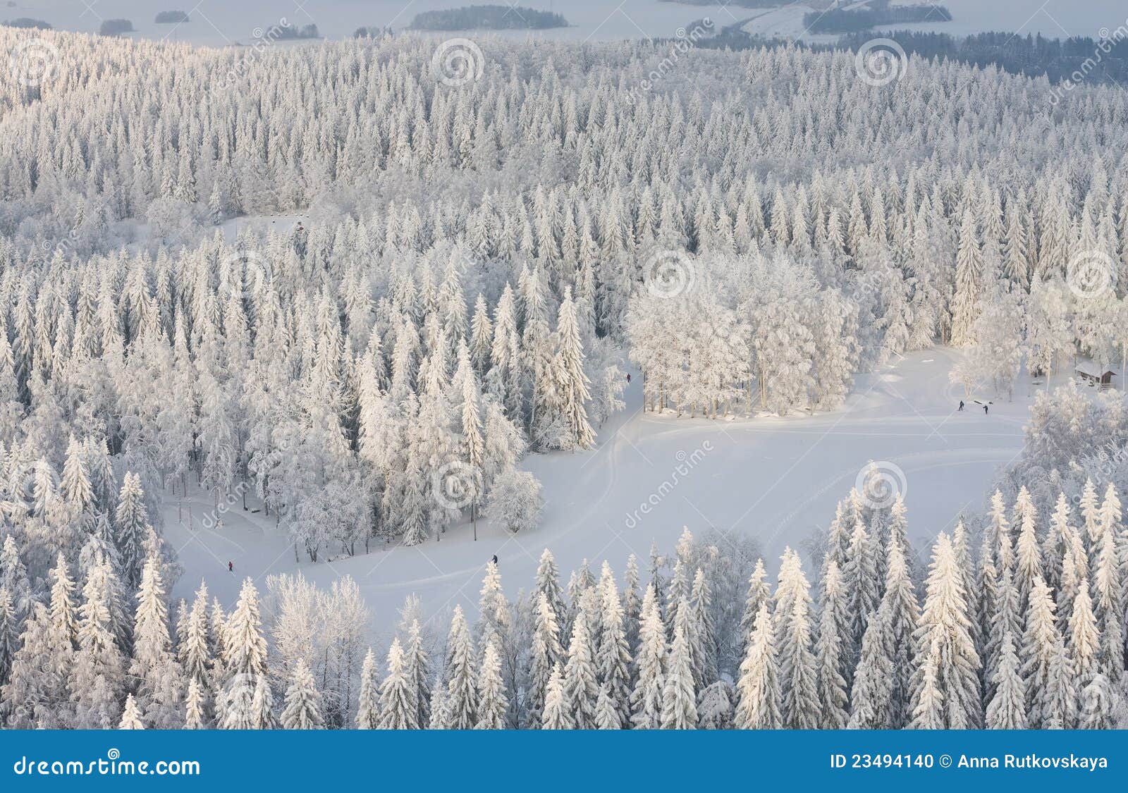winter lanscape in finland