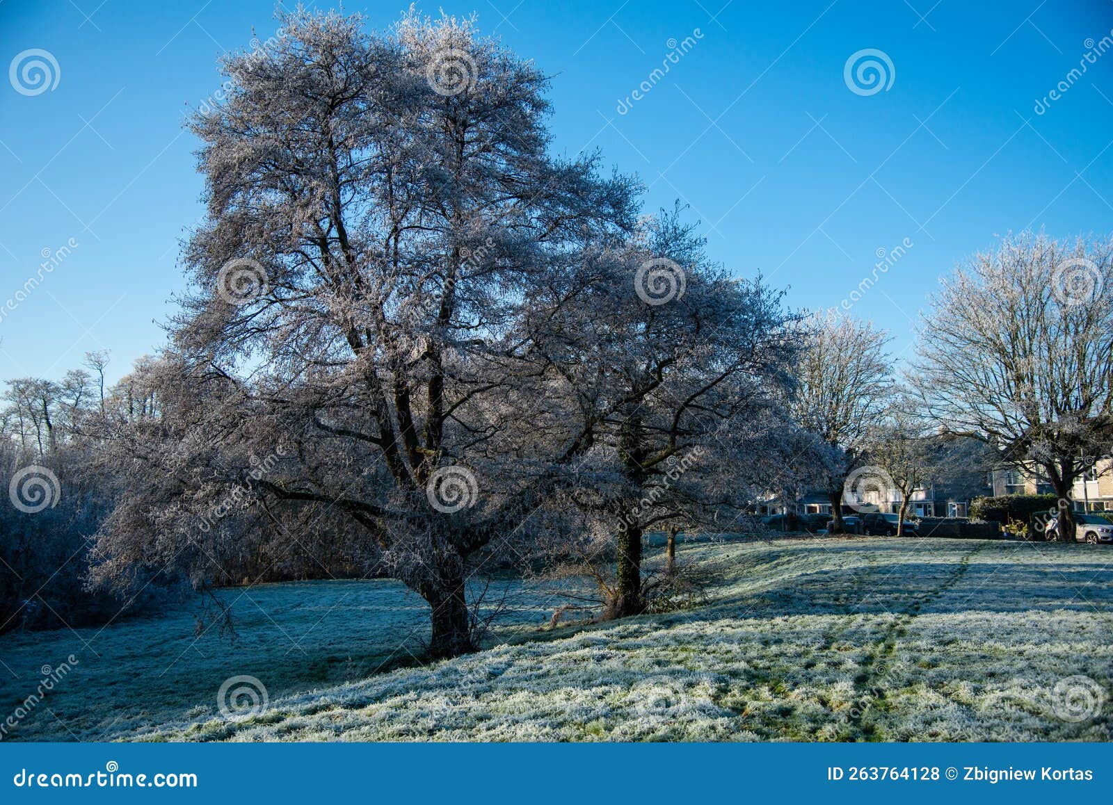 Winter In Limerick Ireland Stock Photo Image Of Outdoors Discovery winter-in-limerick-ireland-stock-photo-image-of-outdoors-discovery