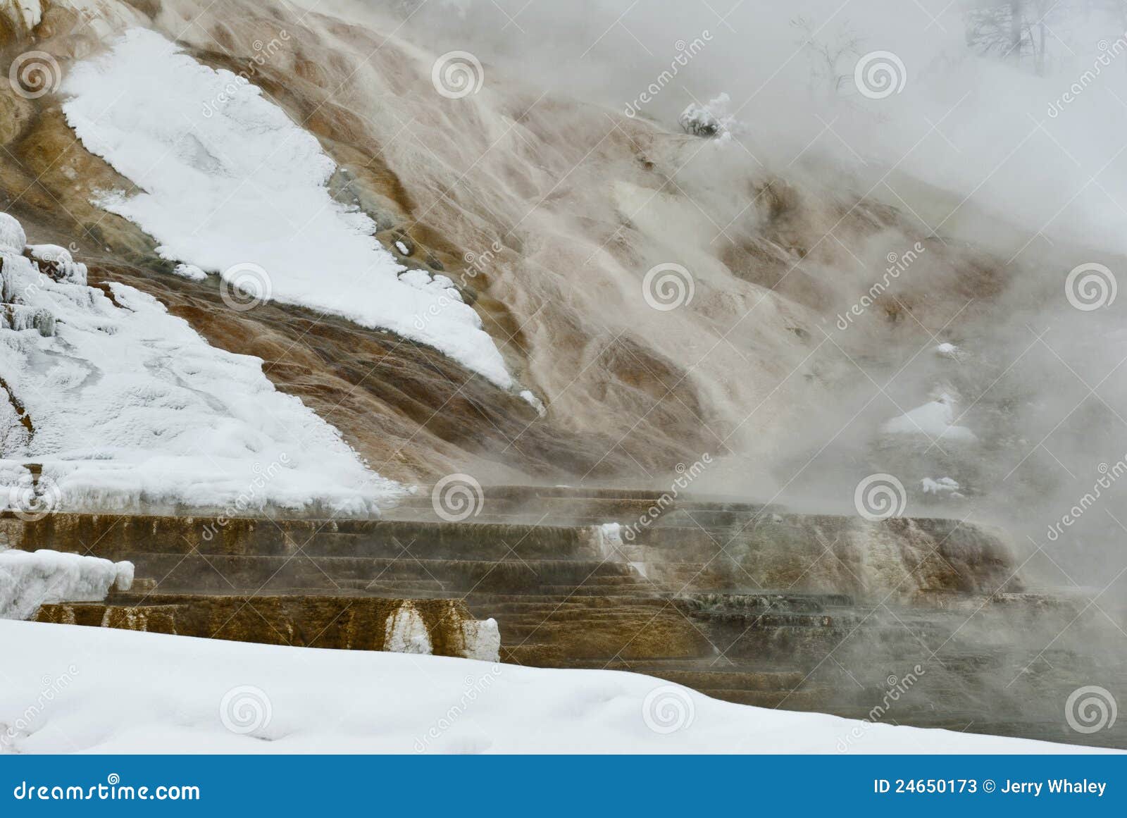 Winter, Mammoth Hot Springs, Yellowstone NP Stock Image Image of