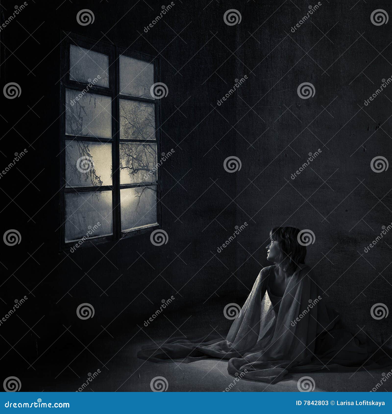 Winter morning stock image. Image of dramatic, textile - 7842803