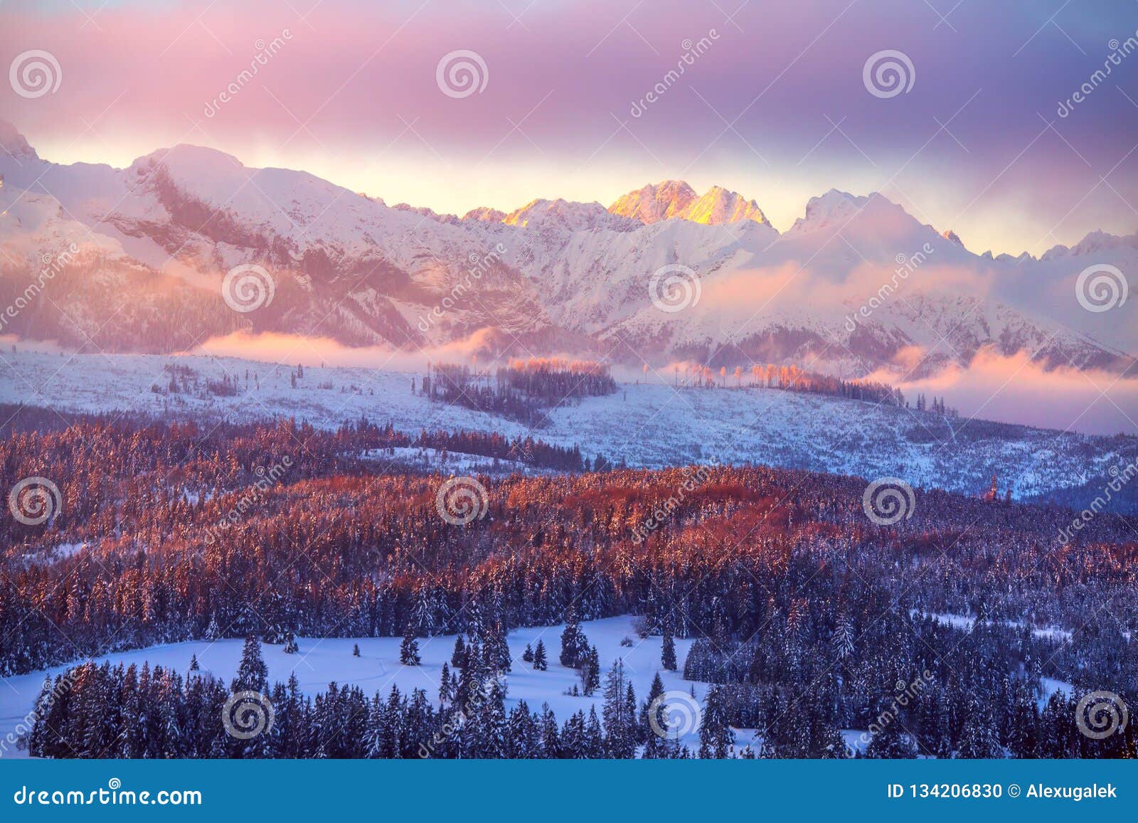 winter mountains. beautiful landscape with snowy summits in pink morning sunlight.