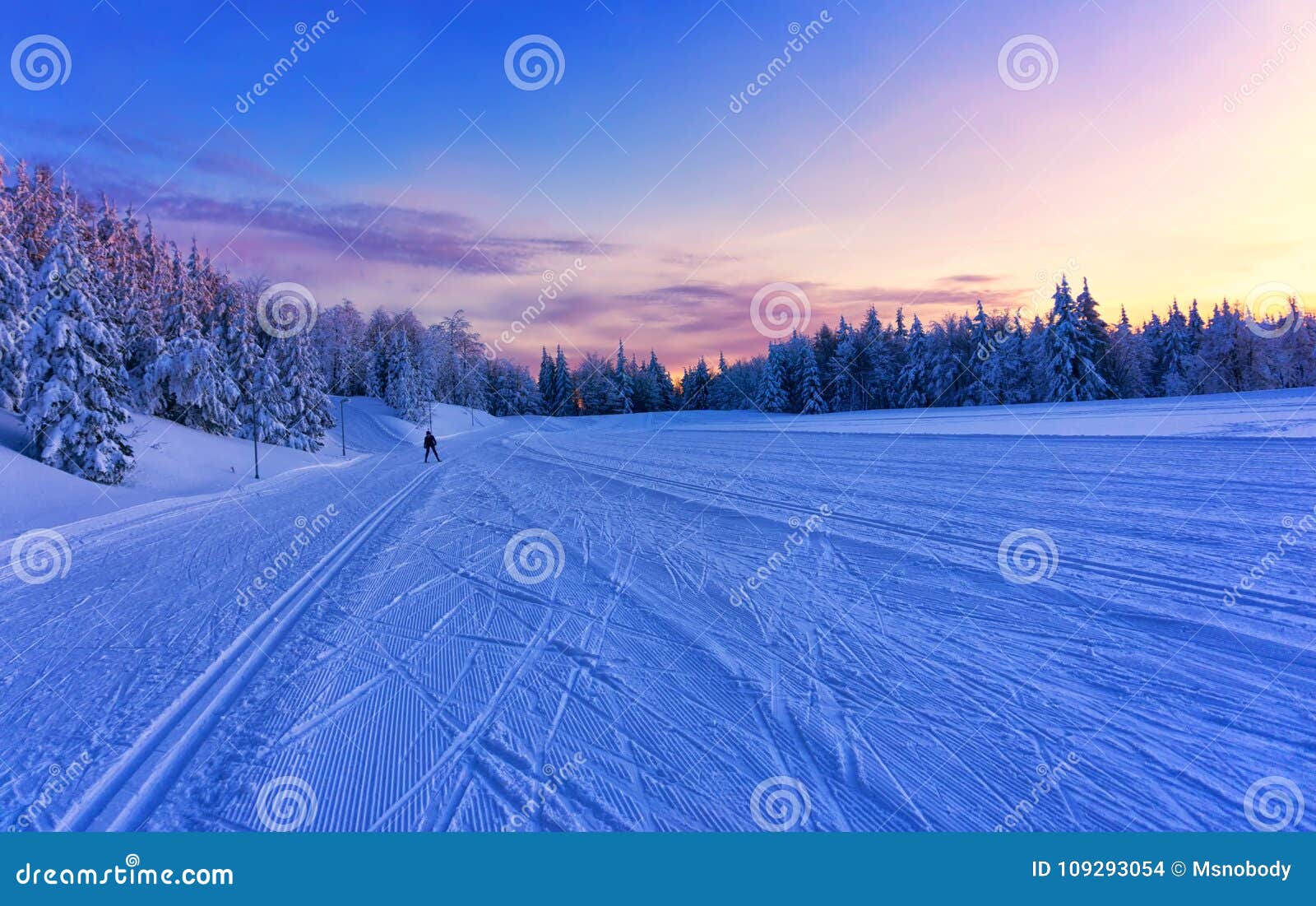 Sunset Over the Groomed Cross Country Ski Trails Stock Photo Image of