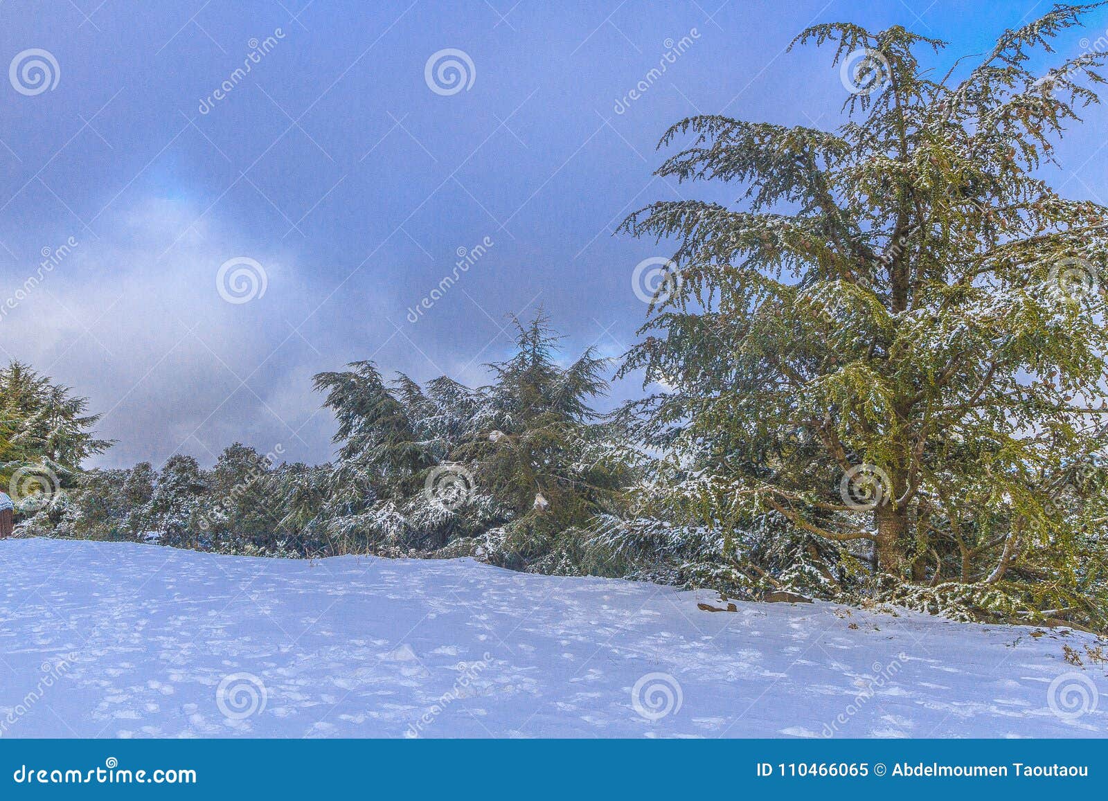 Chrea stock image. Image of area, alpinism, algerian 110466065