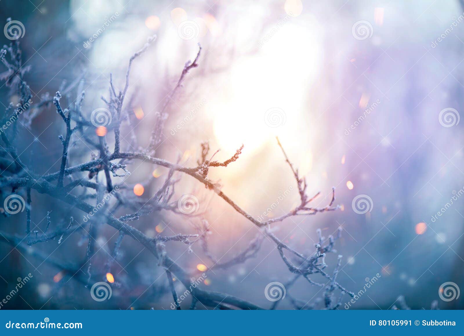 winter nature. christmas holiday background