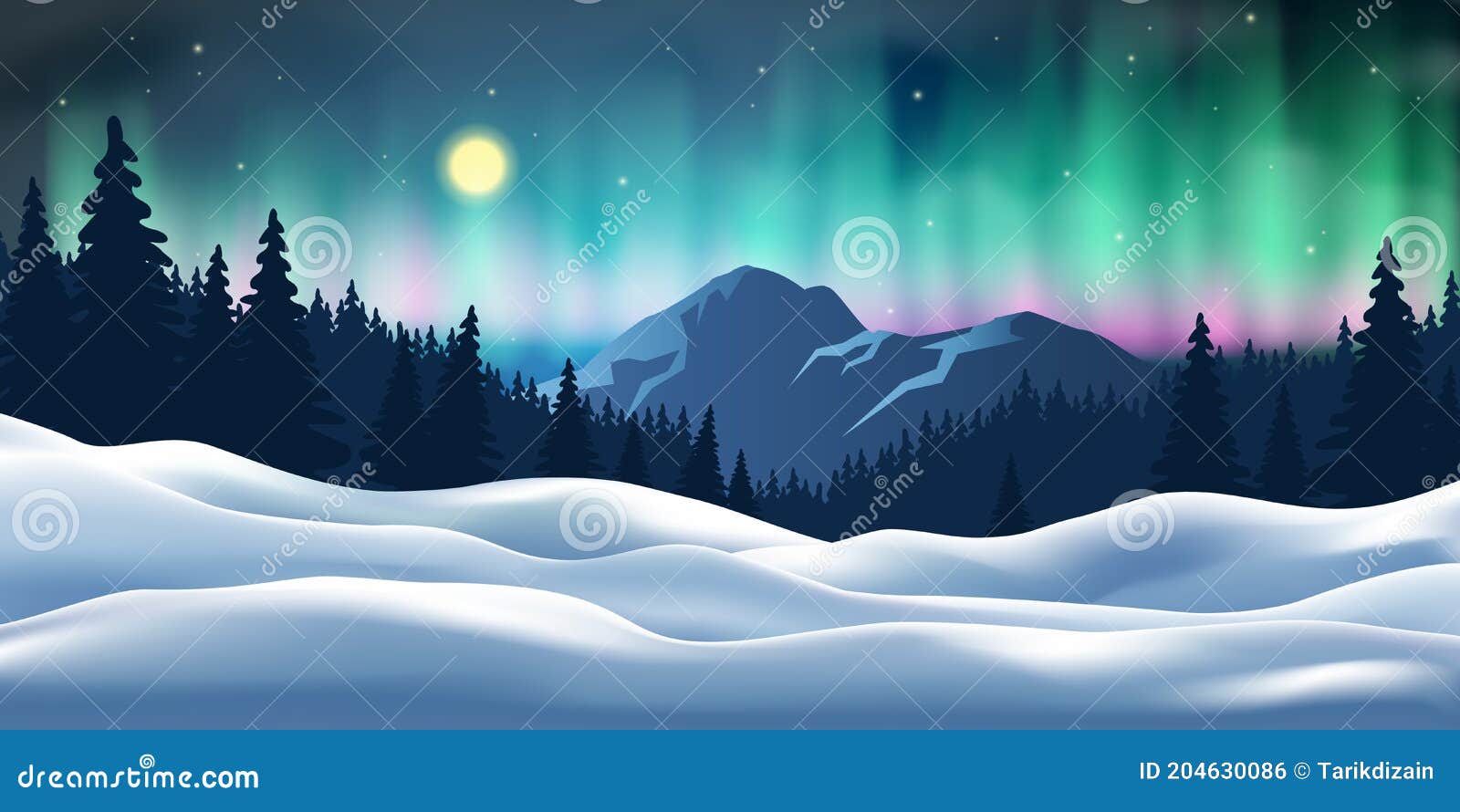 Forest Scene With Aurora Stock Illustration - Download Image Now - Aurora  Borealis, Aurora Polaris, Night - iStock