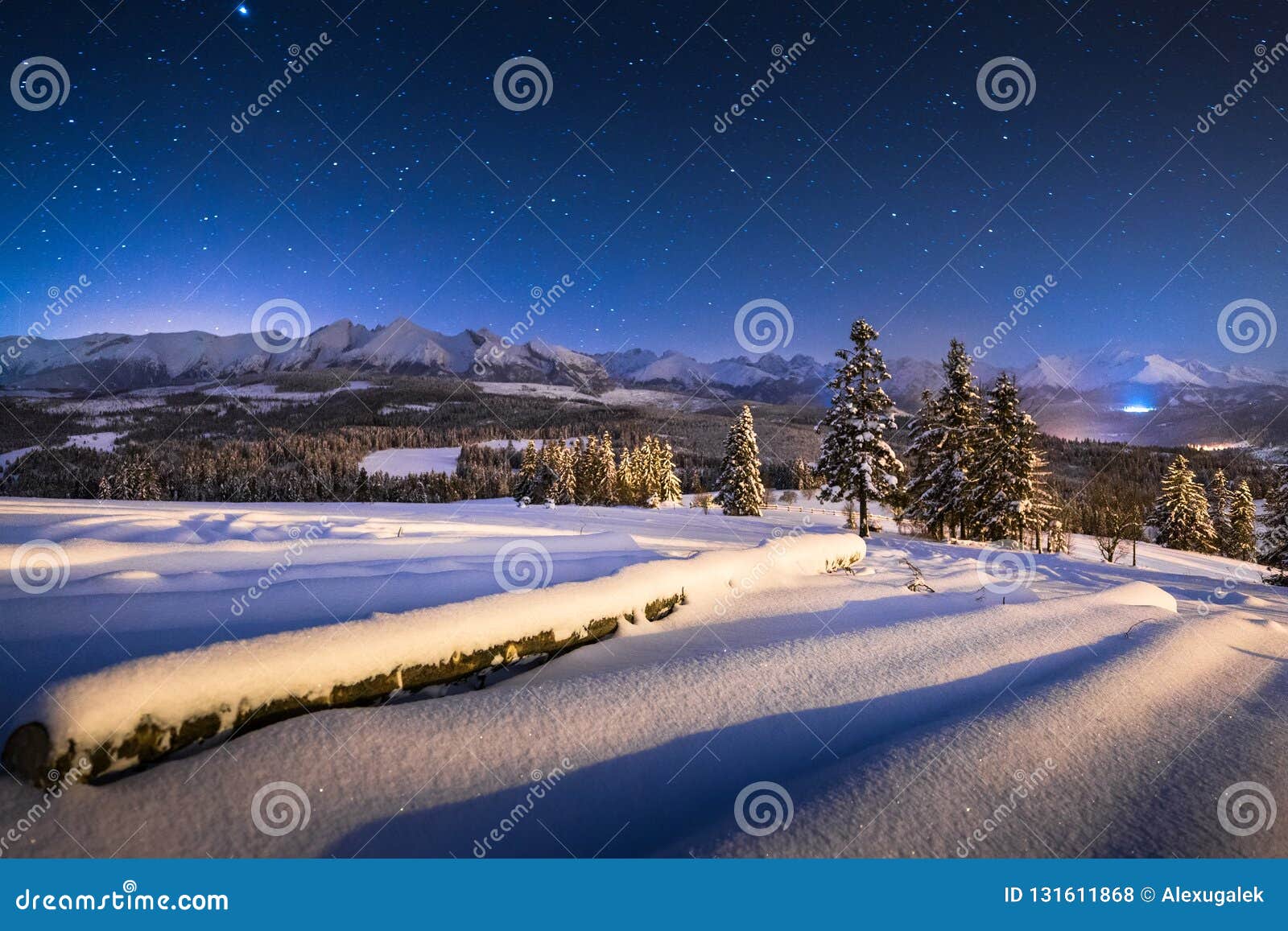 Winter Night Landscape. Starry Blue Night Sky Over Winter ...