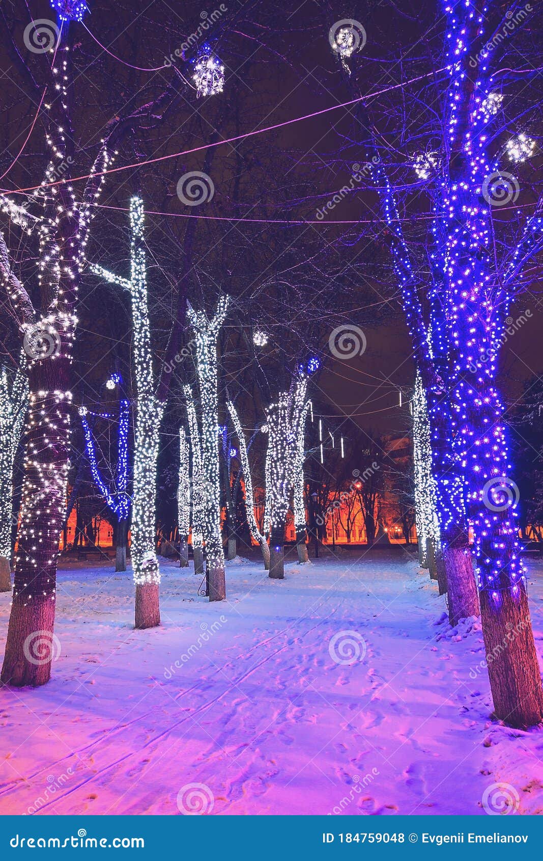 Winter Park at Night with Christmas Decorations and Lights Stock Photo