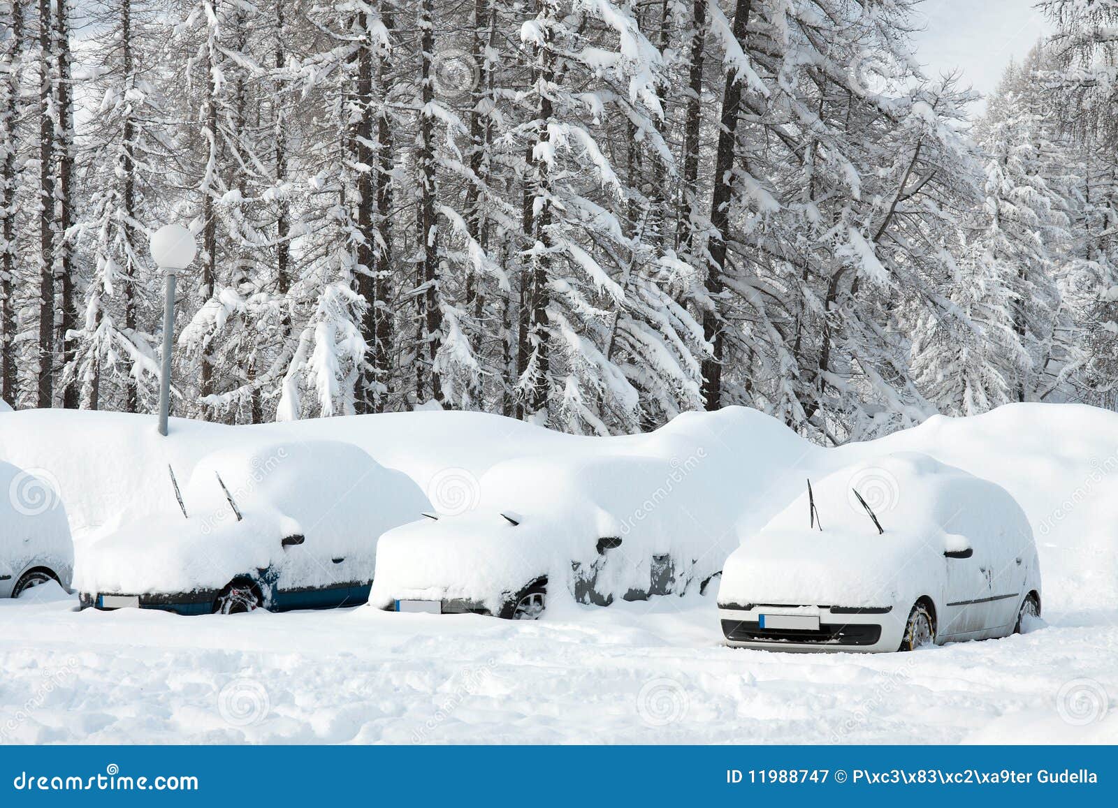 Winter parking stock image. Image of park, cars, pine 11988747
