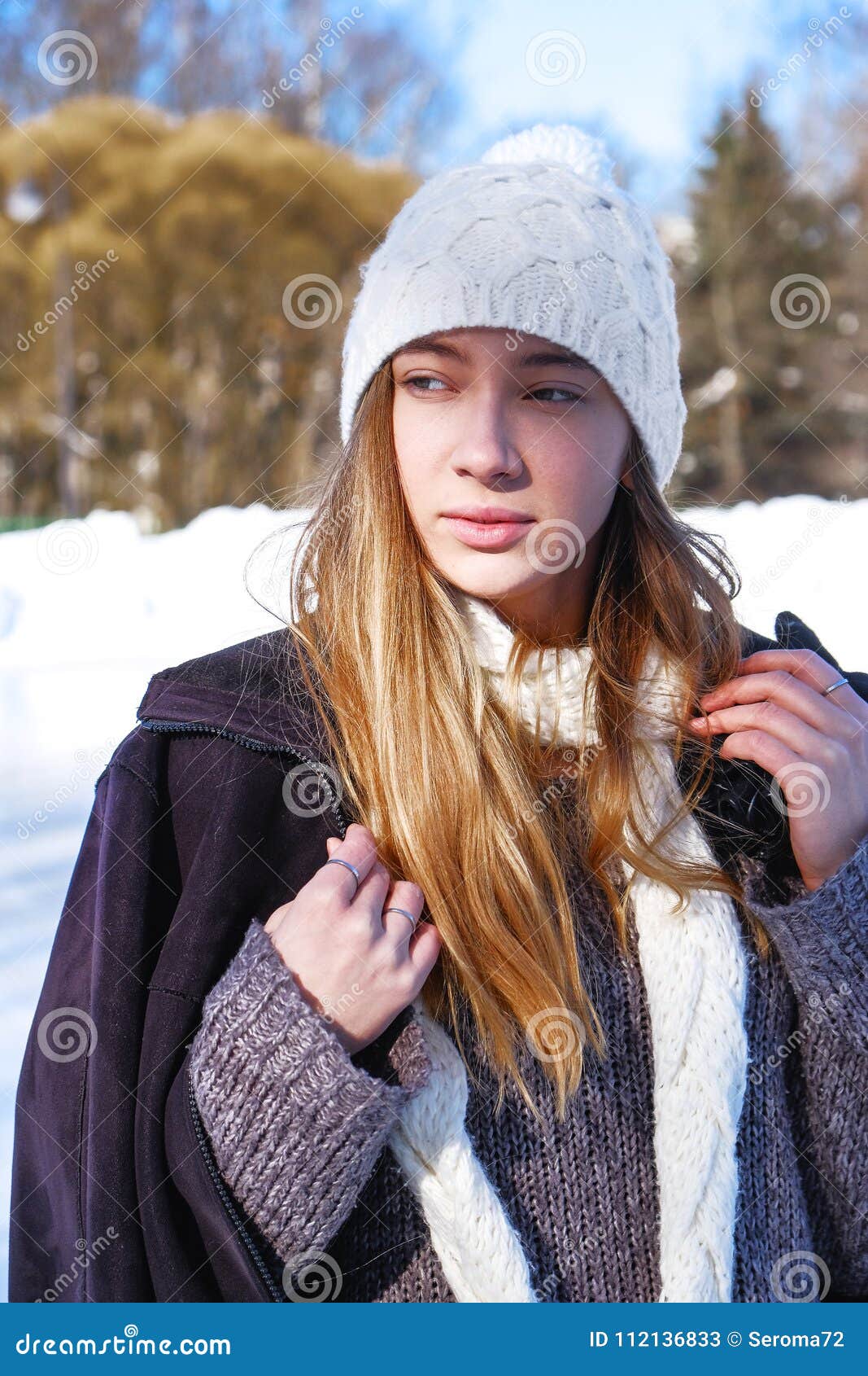Winter Portrait of a Young Beautiful Girl Stock Image - Image of ...